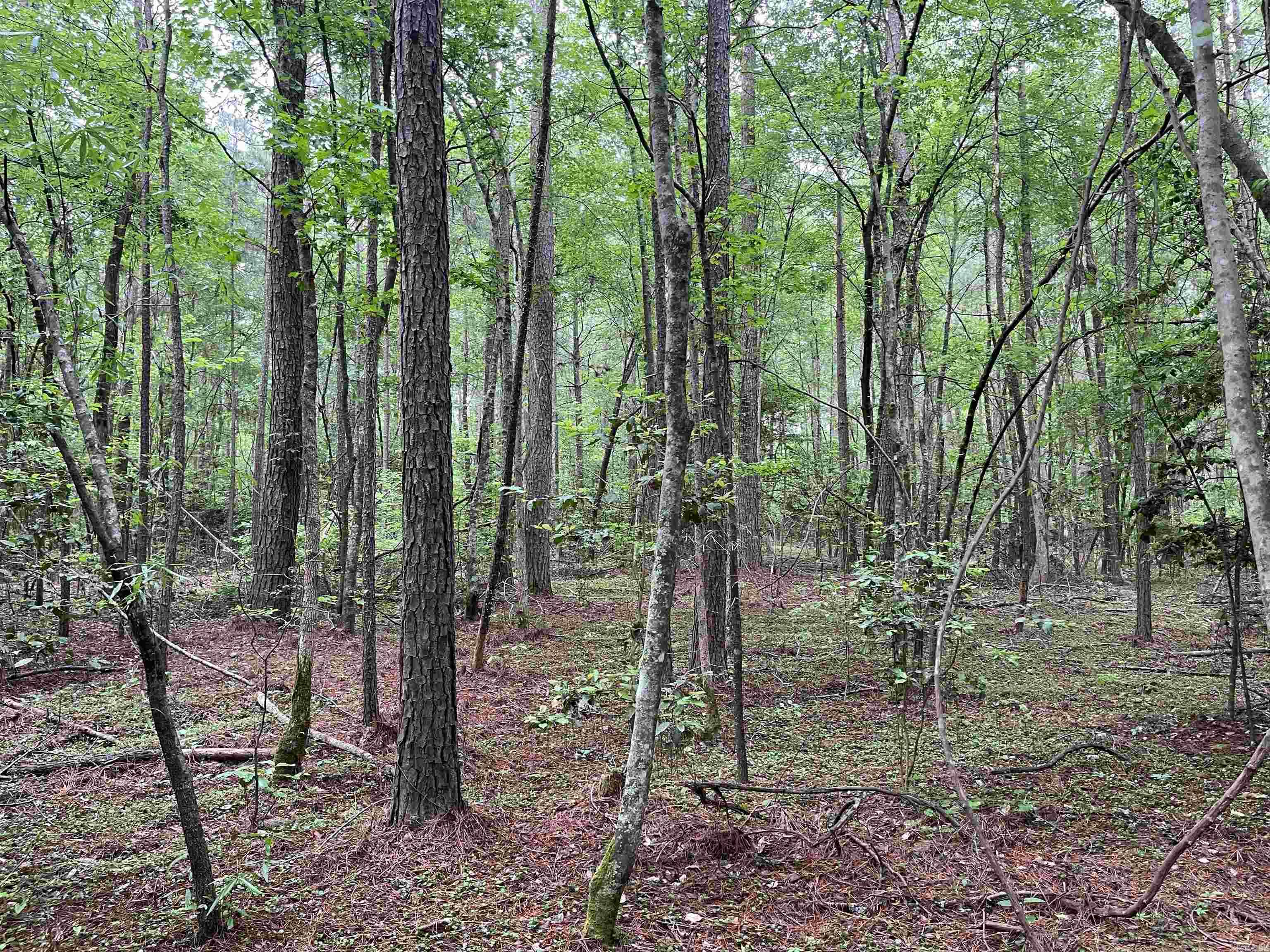 4976  Nevada 36  Rosston, AR