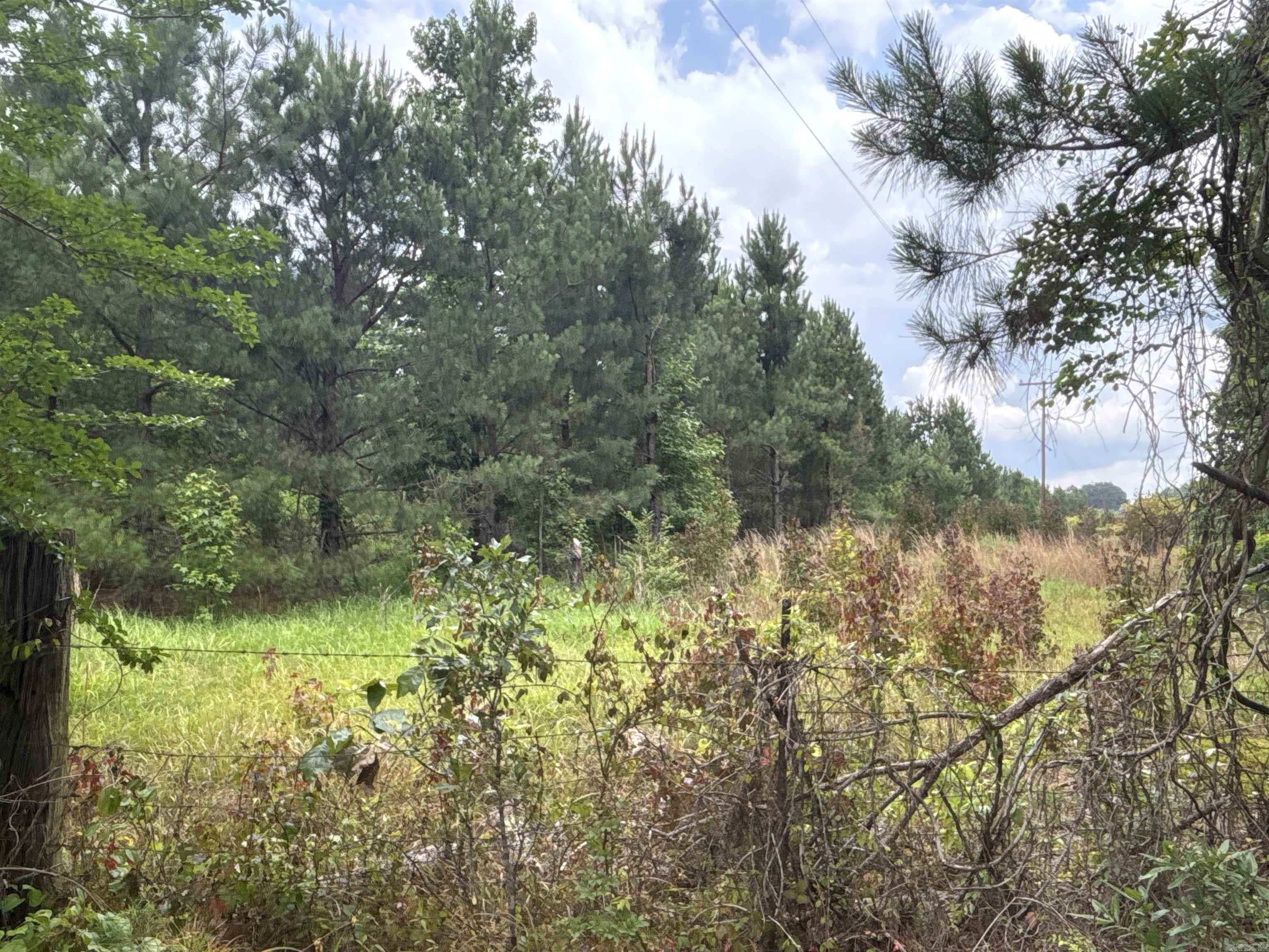 4976  Nevada 36  Rosston, AR