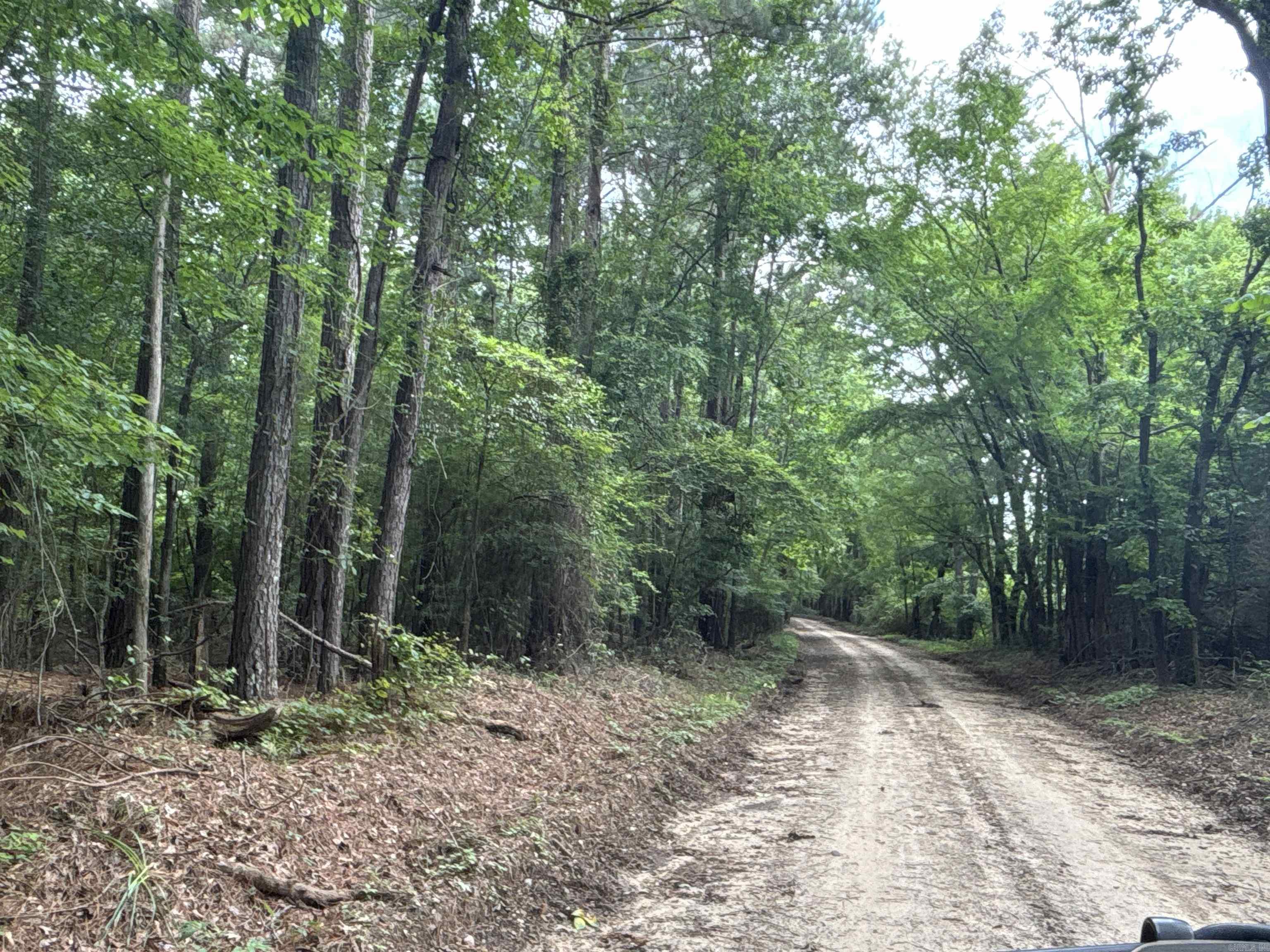 4976  Nevada 36  Rosston, AR