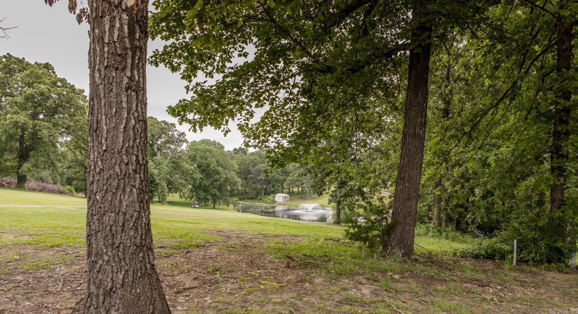 1741  Fairway Drive  Mountain Home, AR