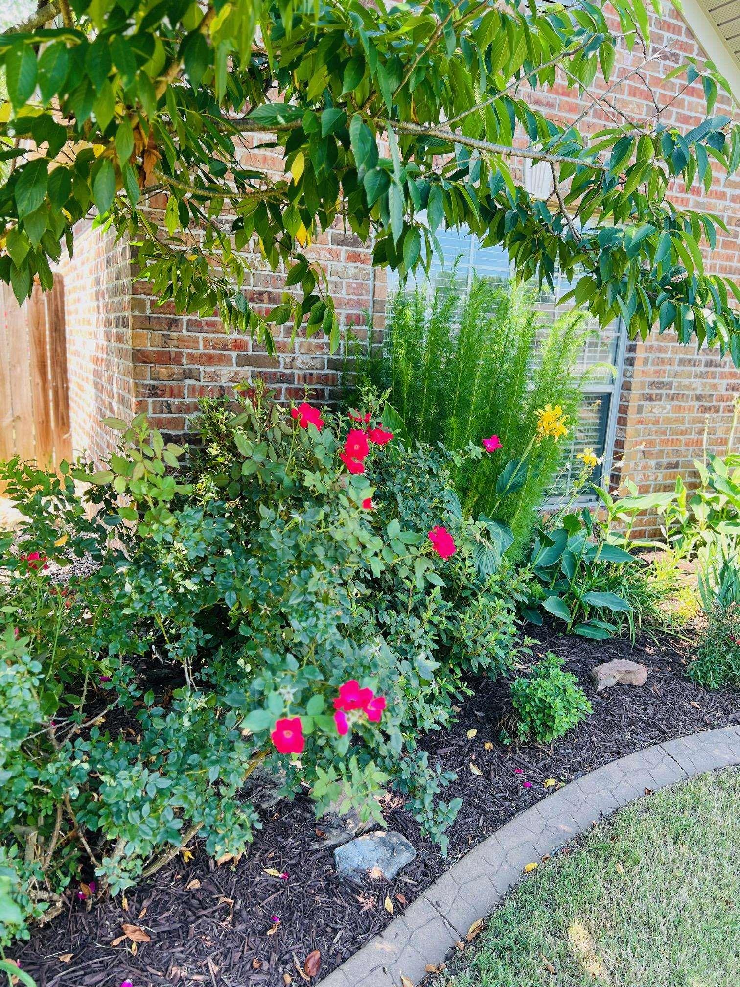 3164  Austin Bayside  Sherwood, AR