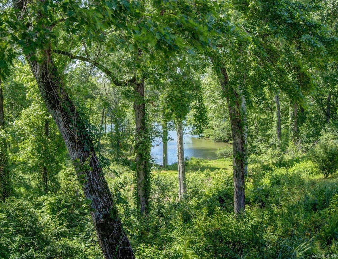 120  Blue Moon  Hot Springs, AR