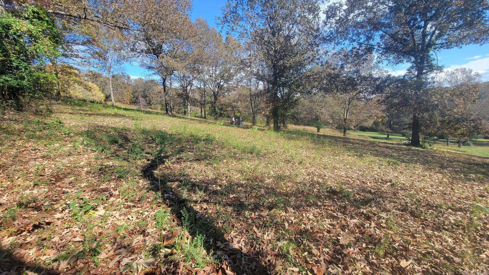000  Fox Chase  Flippin, AR