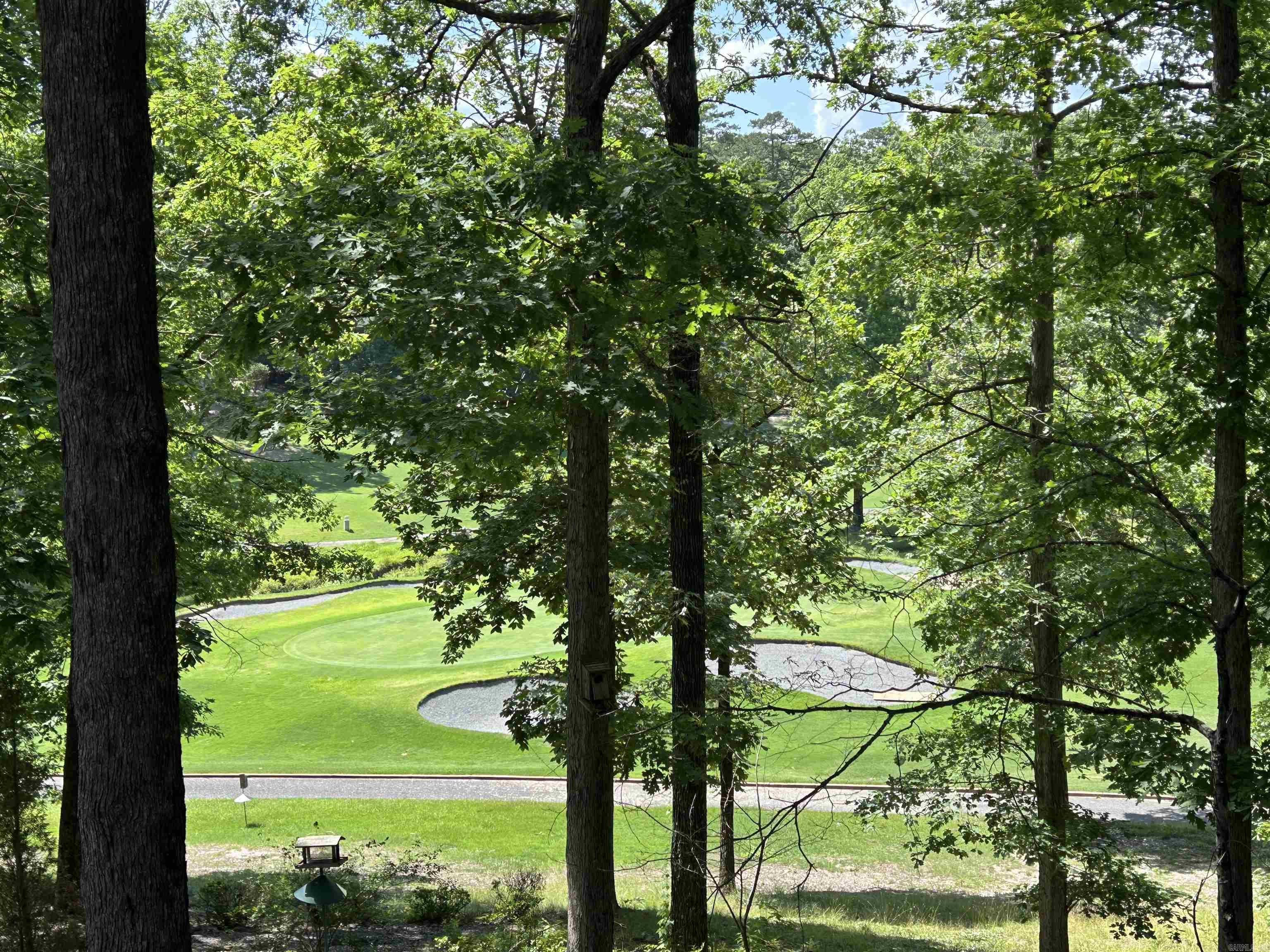 1 Telon  Hot Springs Village, AR
