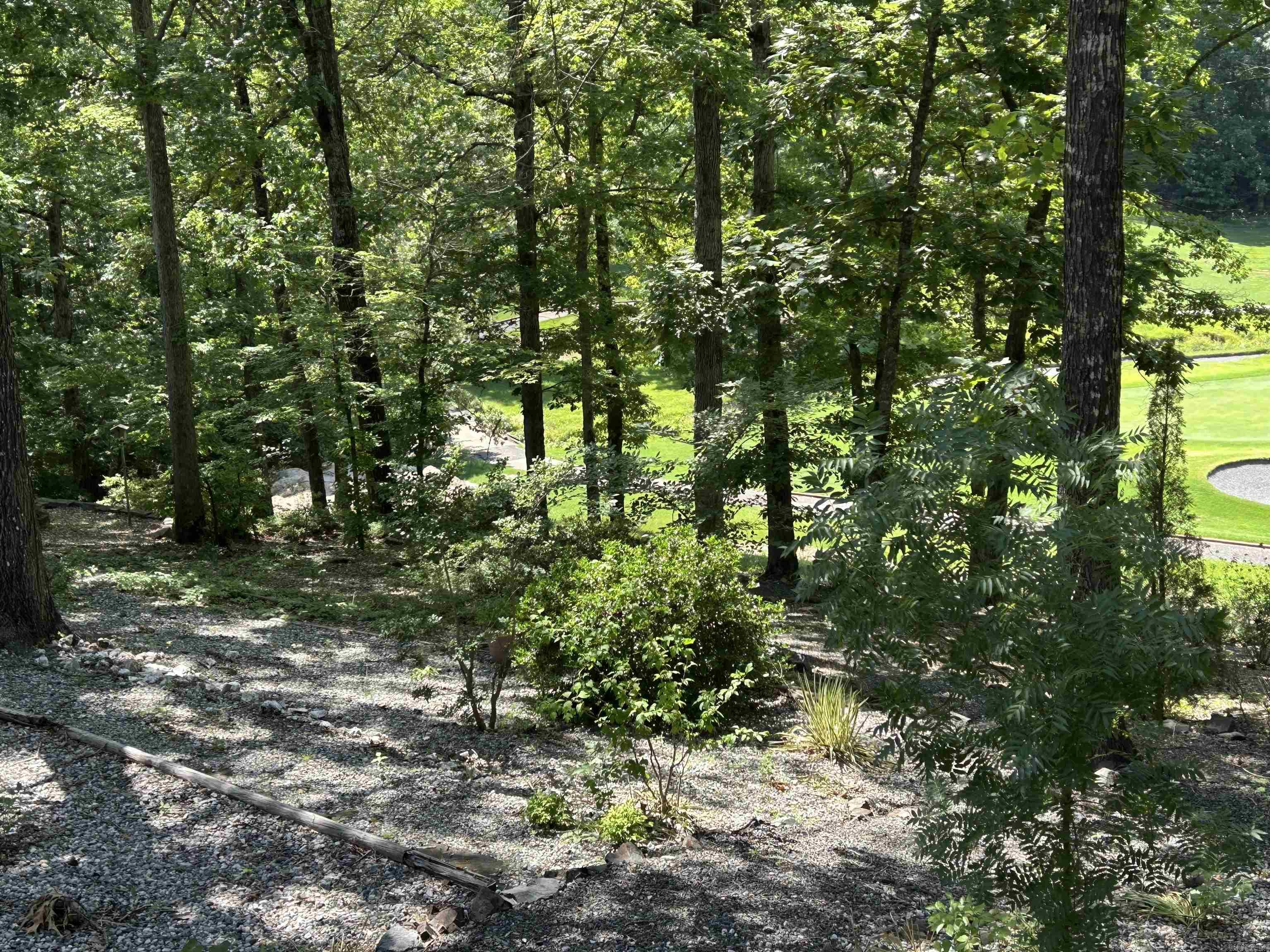 1 Telon  Hot Springs Village, AR