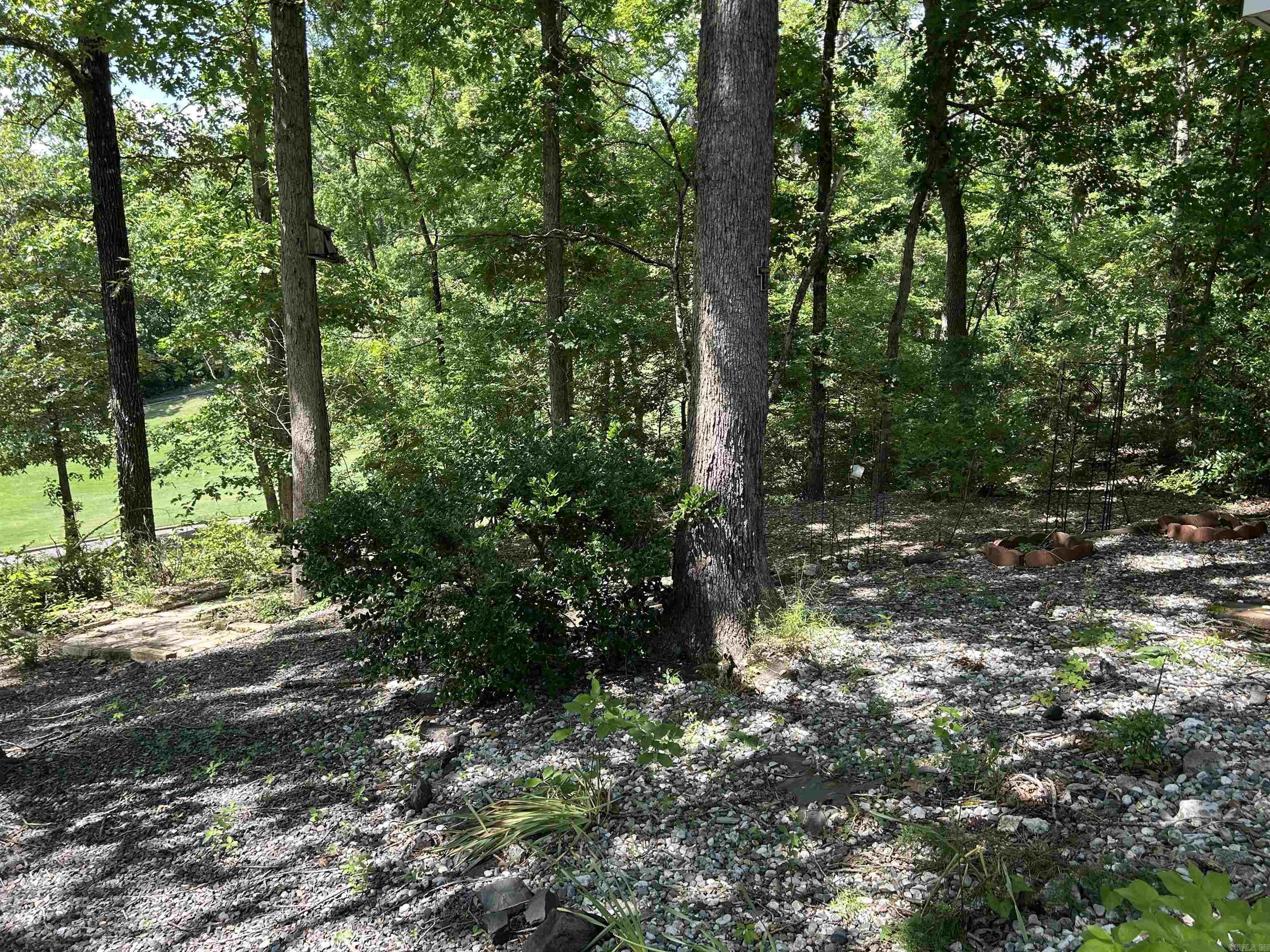 1 Telon  Hot Springs Village, AR