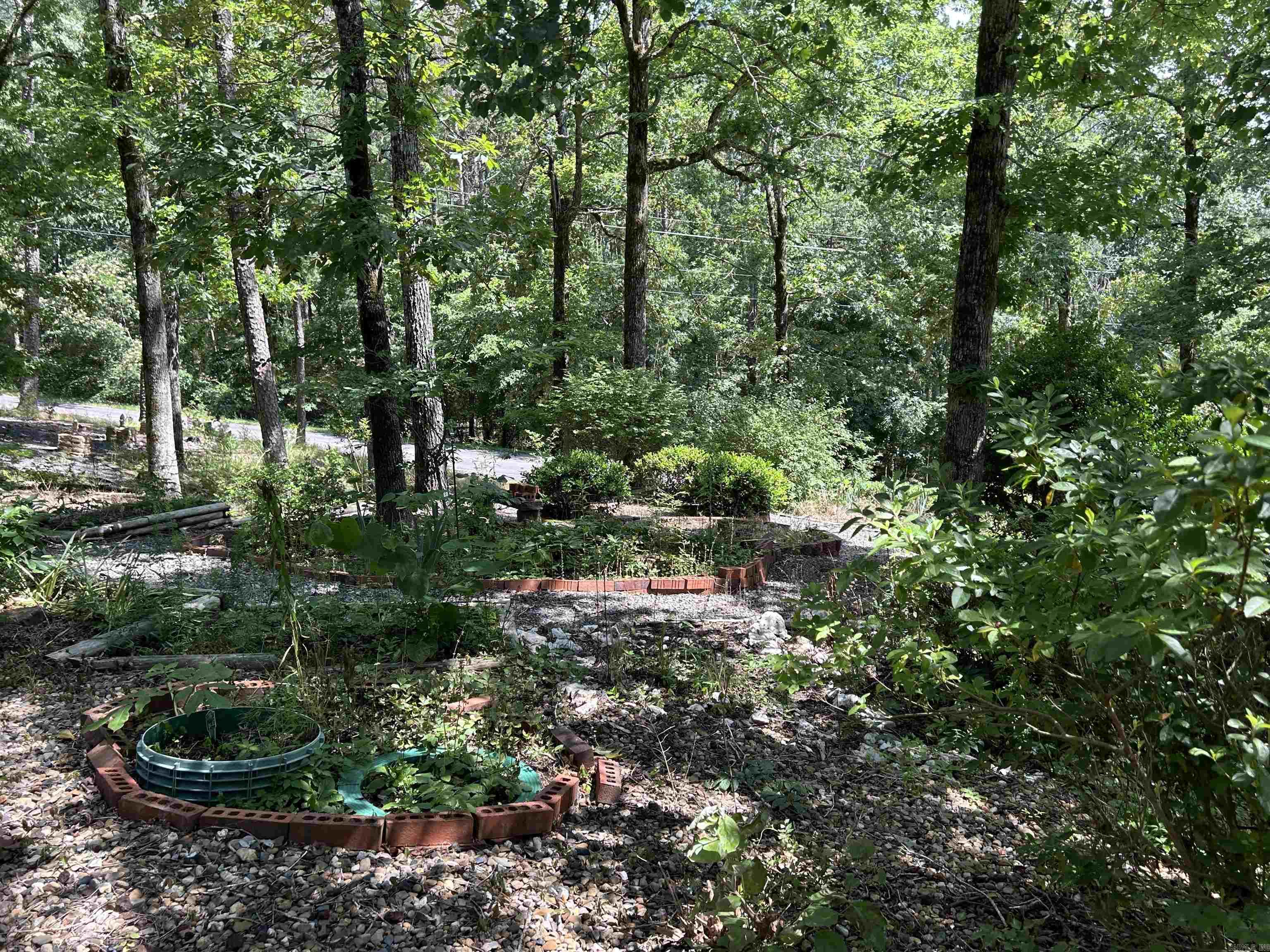 1 Telon  Hot Springs Village, AR