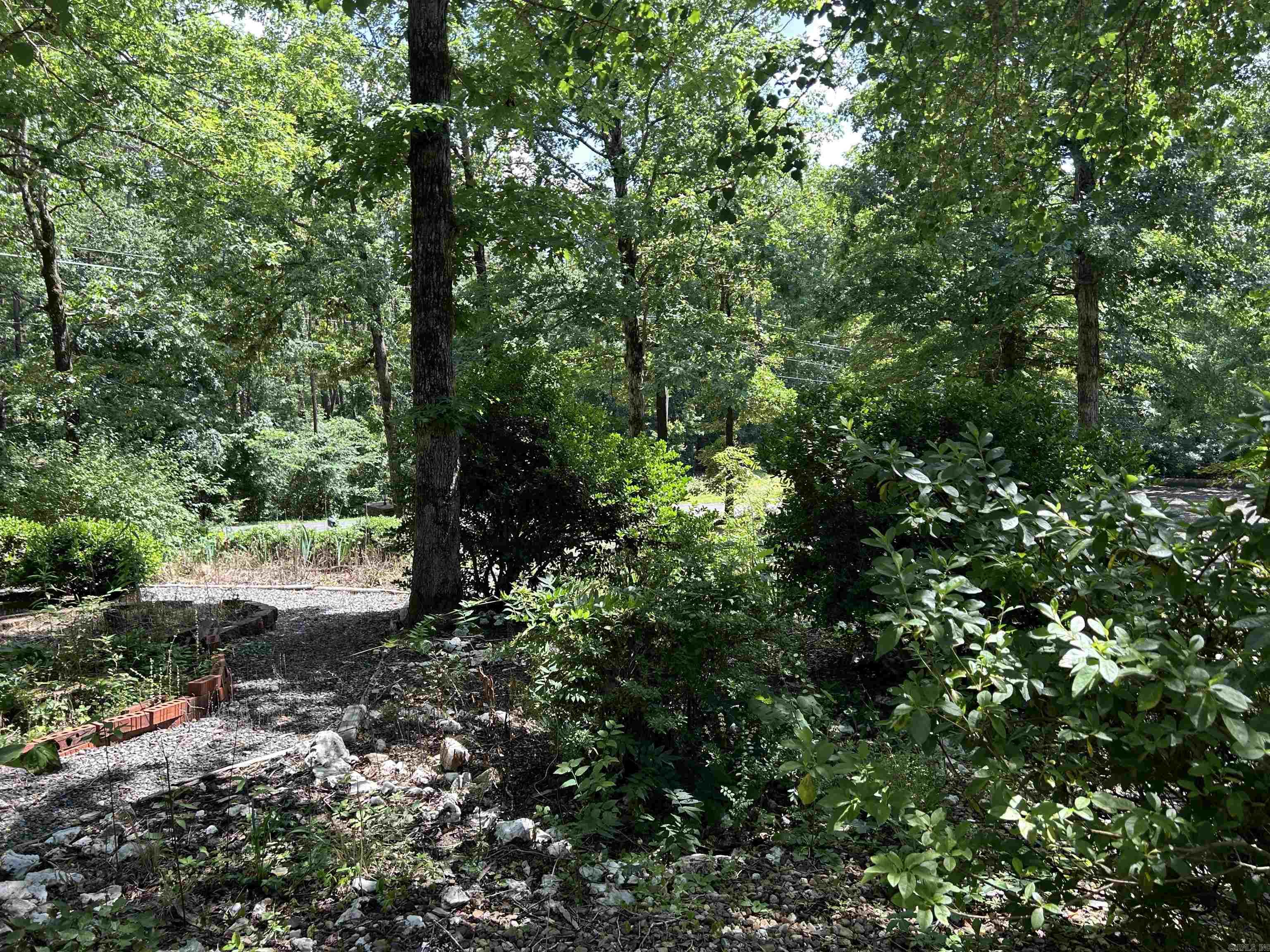 1 Telon  Hot Springs Village, AR