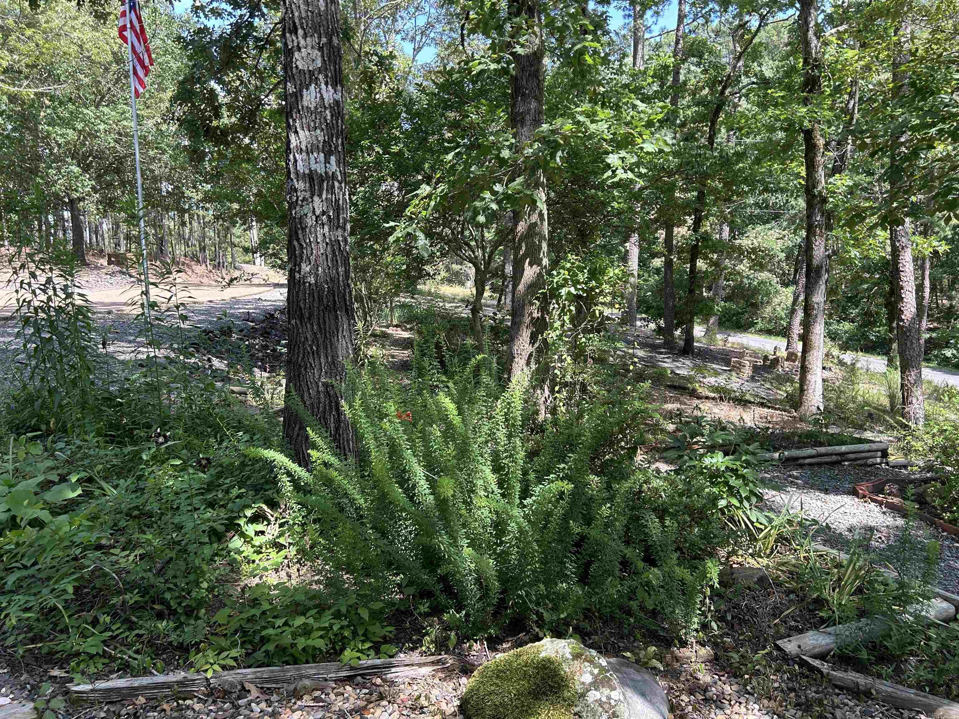 1 Telon  Hot Springs Village, AR