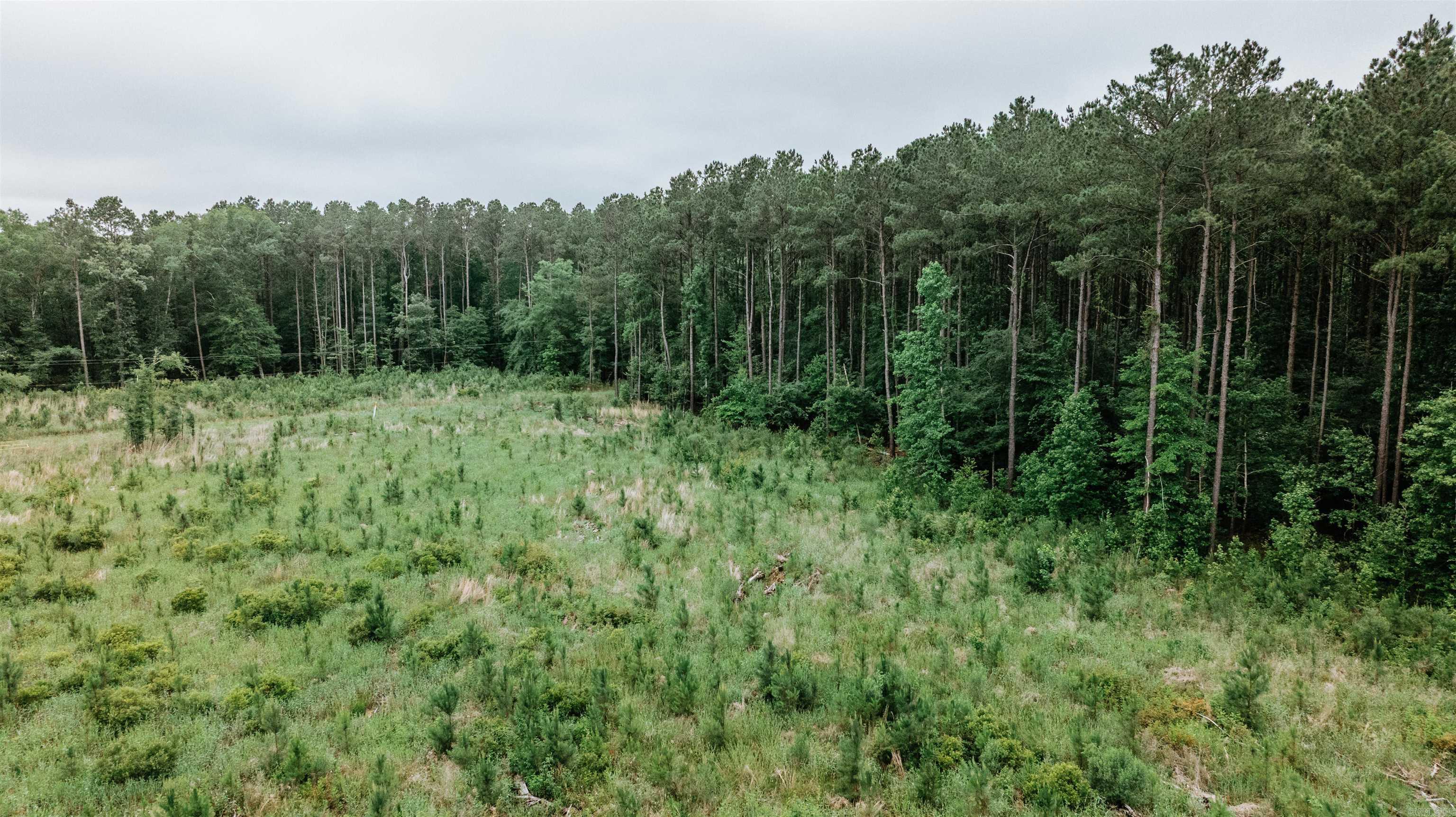 0000  Mt. Holly  Stephens, AR