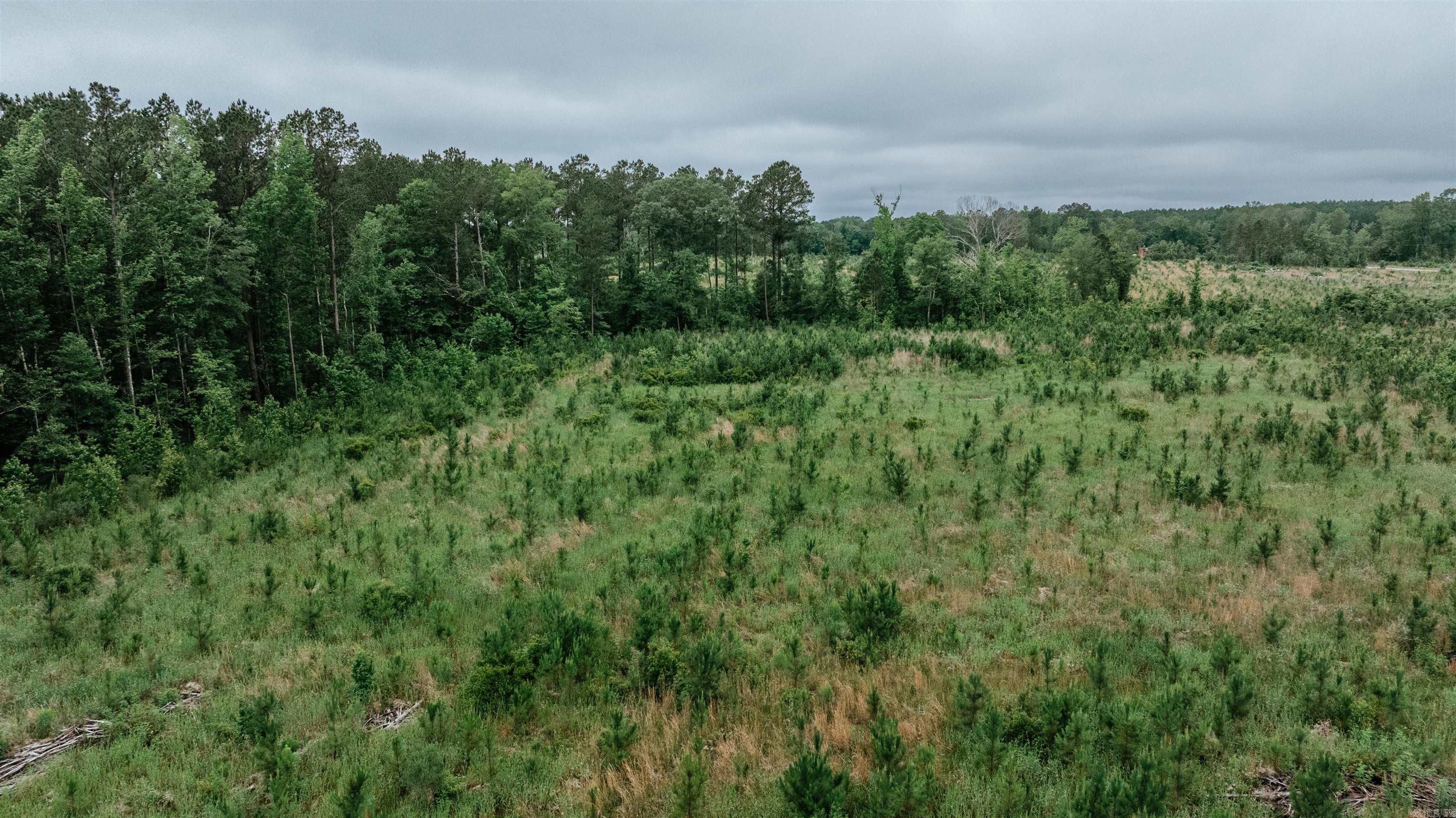 0000  Mt. Holly  Stephens, AR