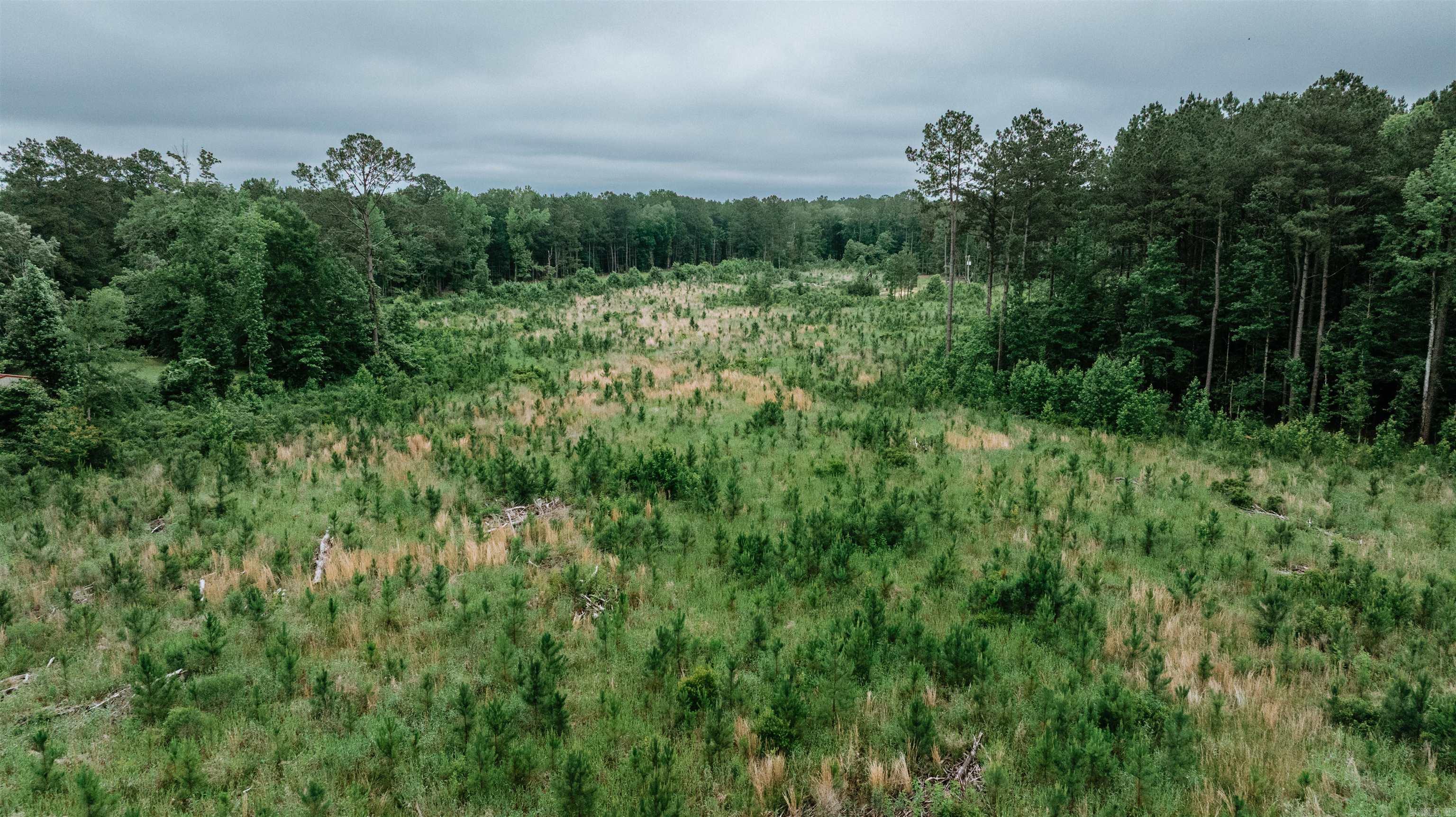0000  Mt. Holly  Stephens, AR