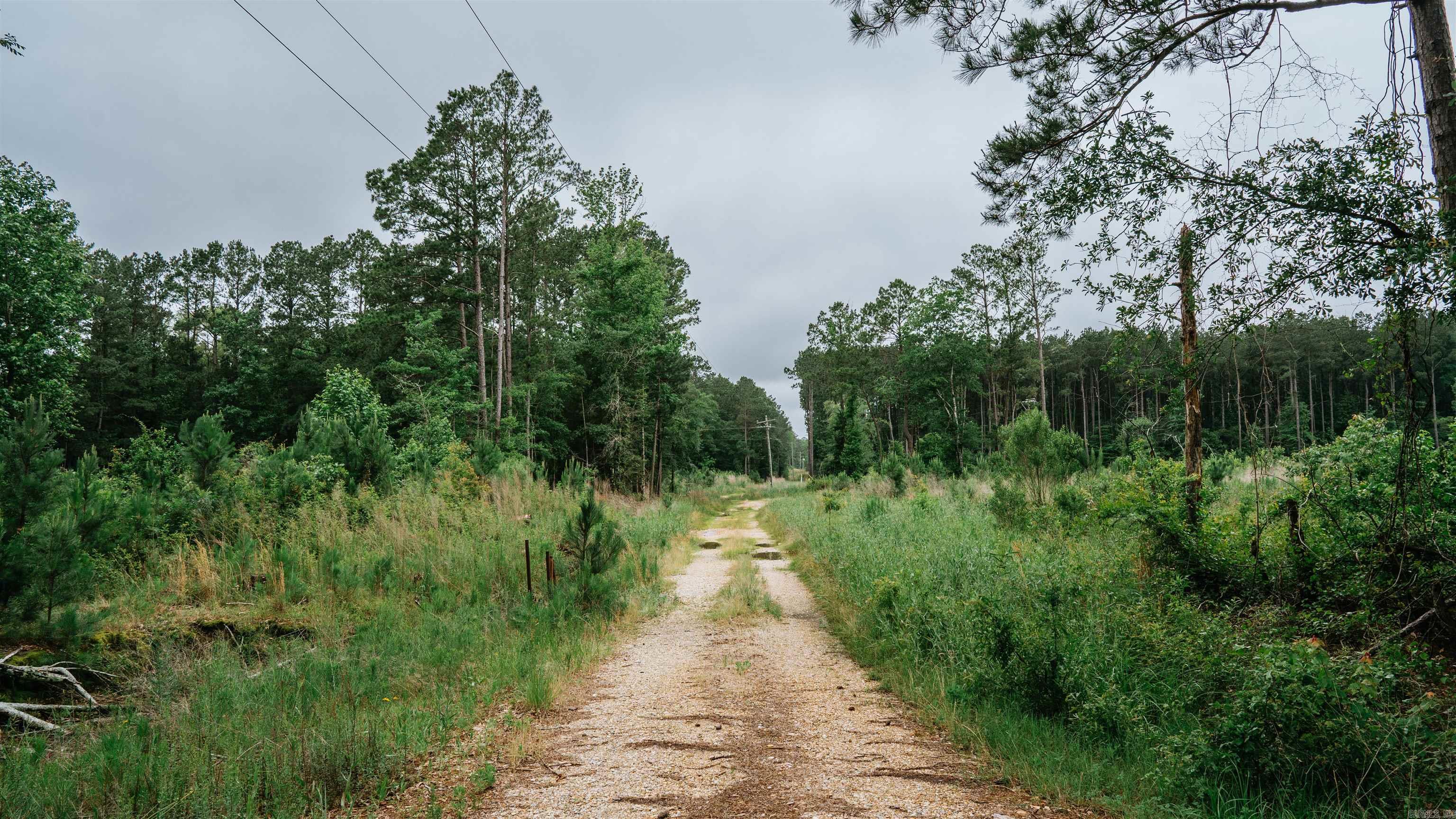0000  Mt. Holly  Stephens, AR