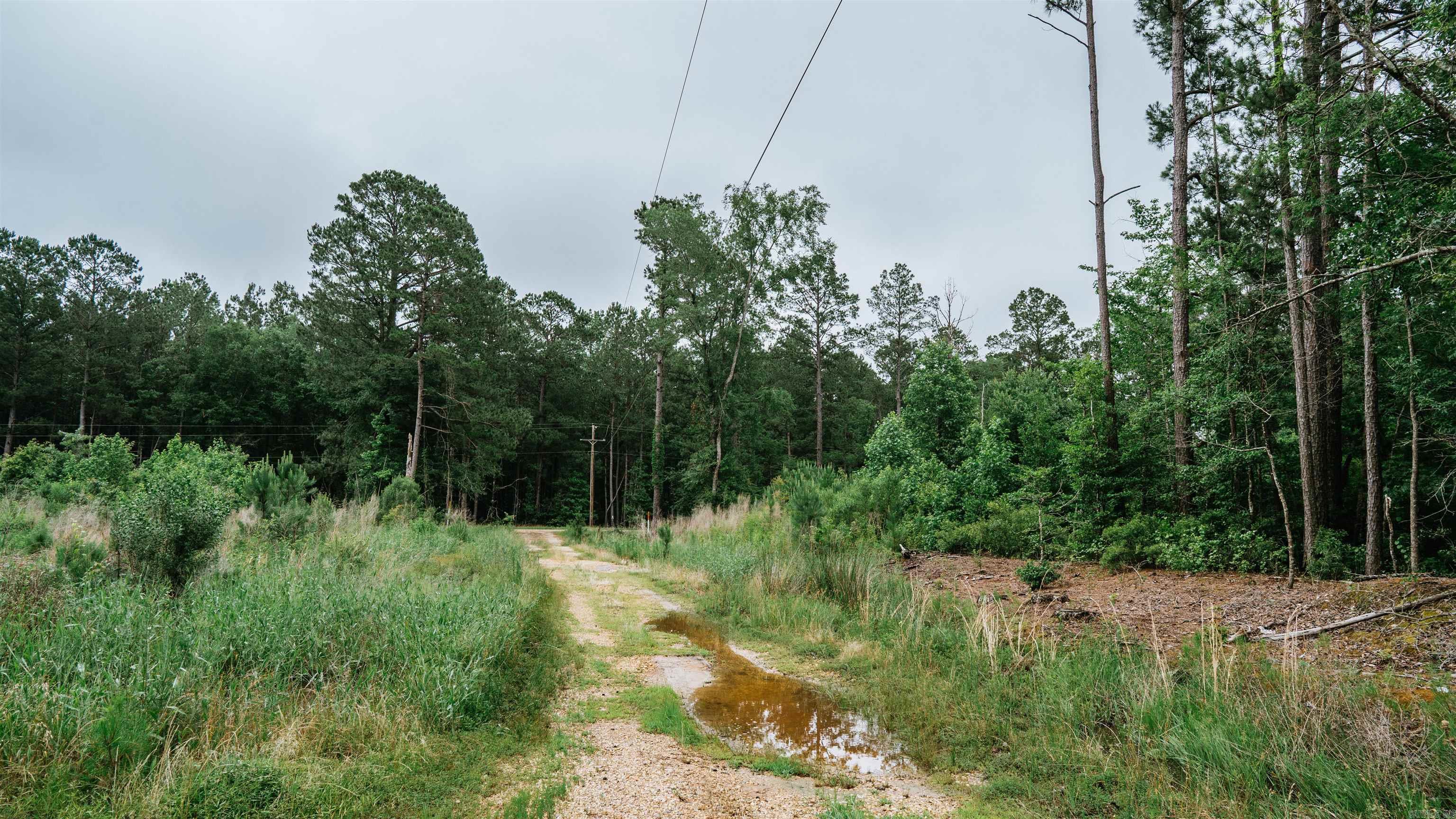 0000  Mt. Holly  Stephens, AR