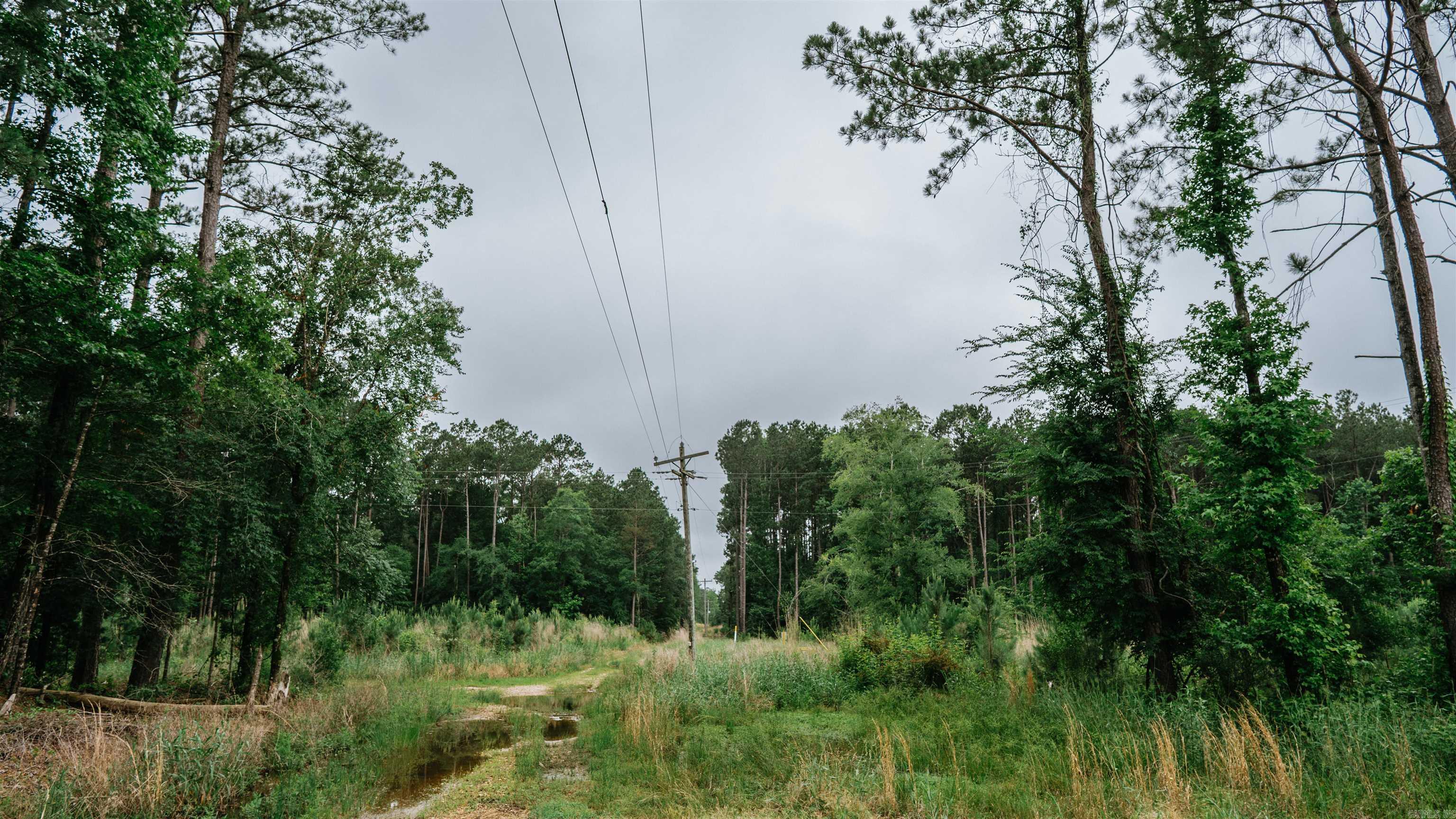 0000  Mt. Holly  Stephens, AR