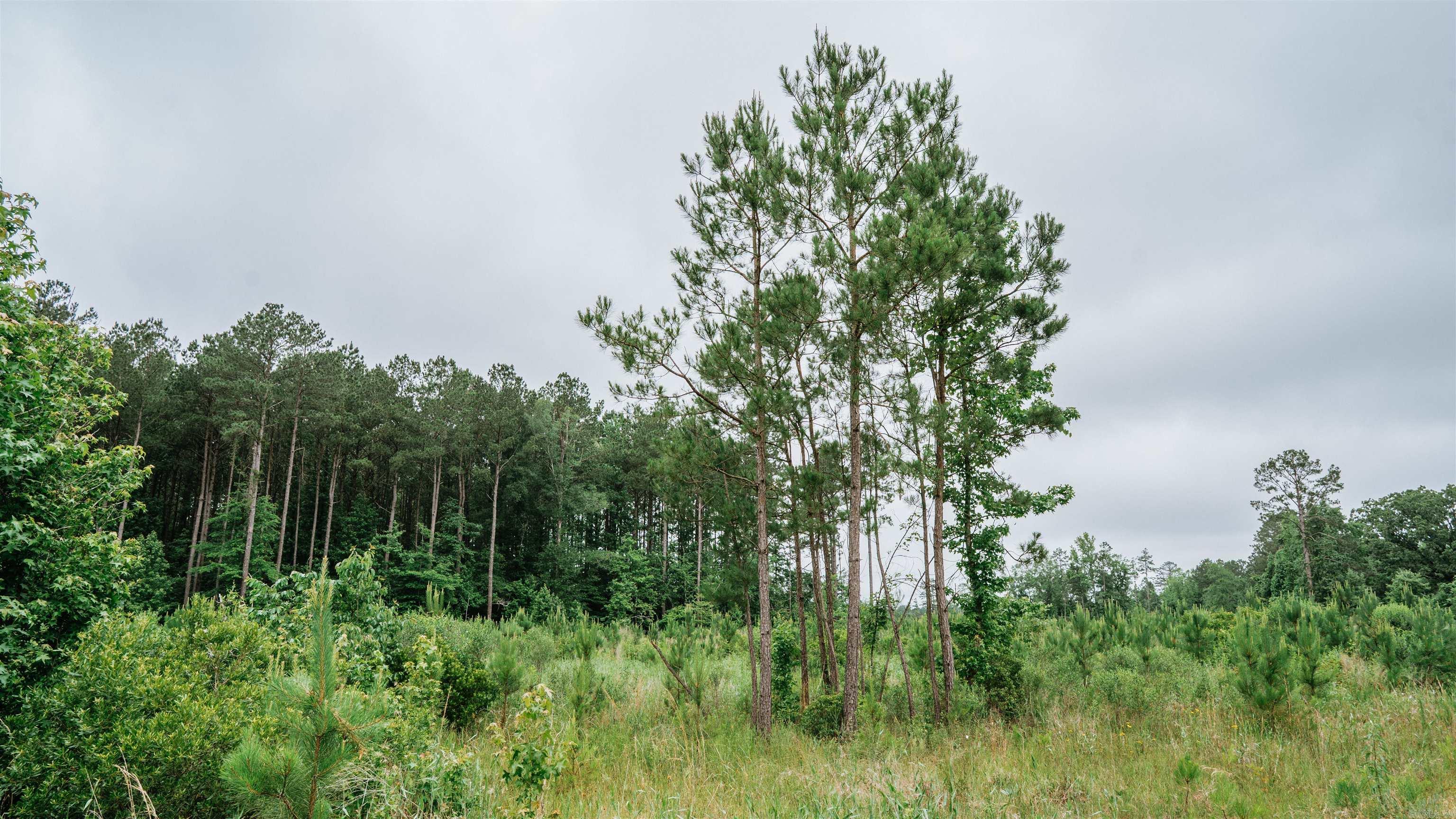 0000  Mt. Holly  Stephens, AR