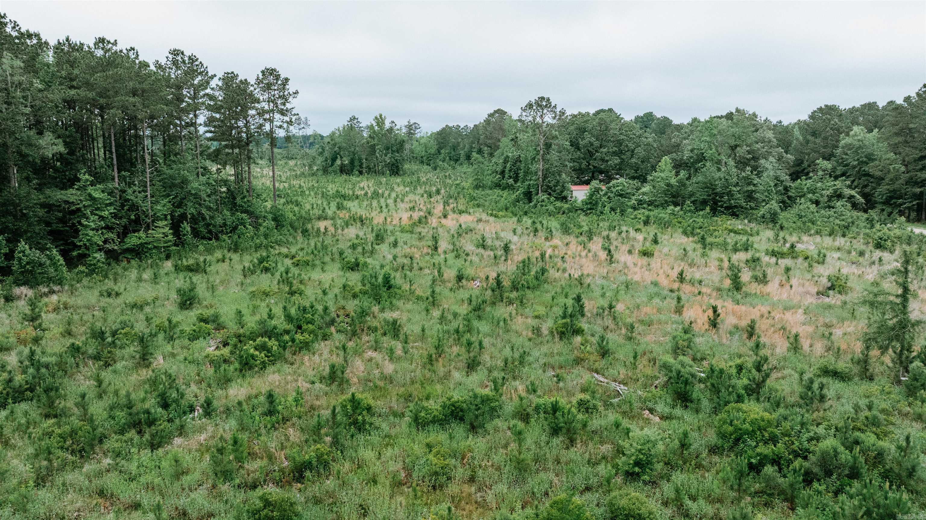 0000  Mt. Holly  Stephens, AR