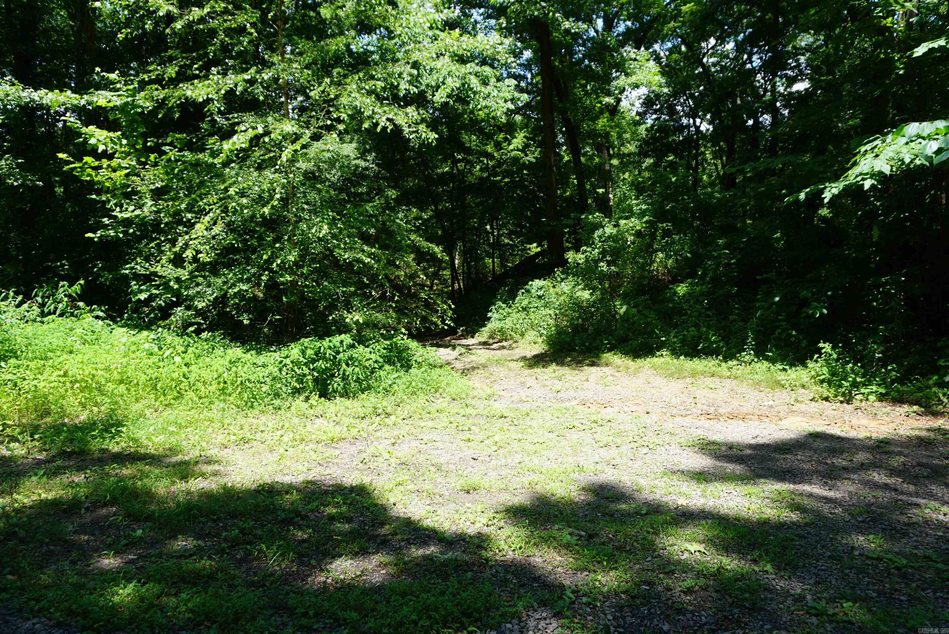 8  Lots in Red River Shores S/D  Judsonia, AR