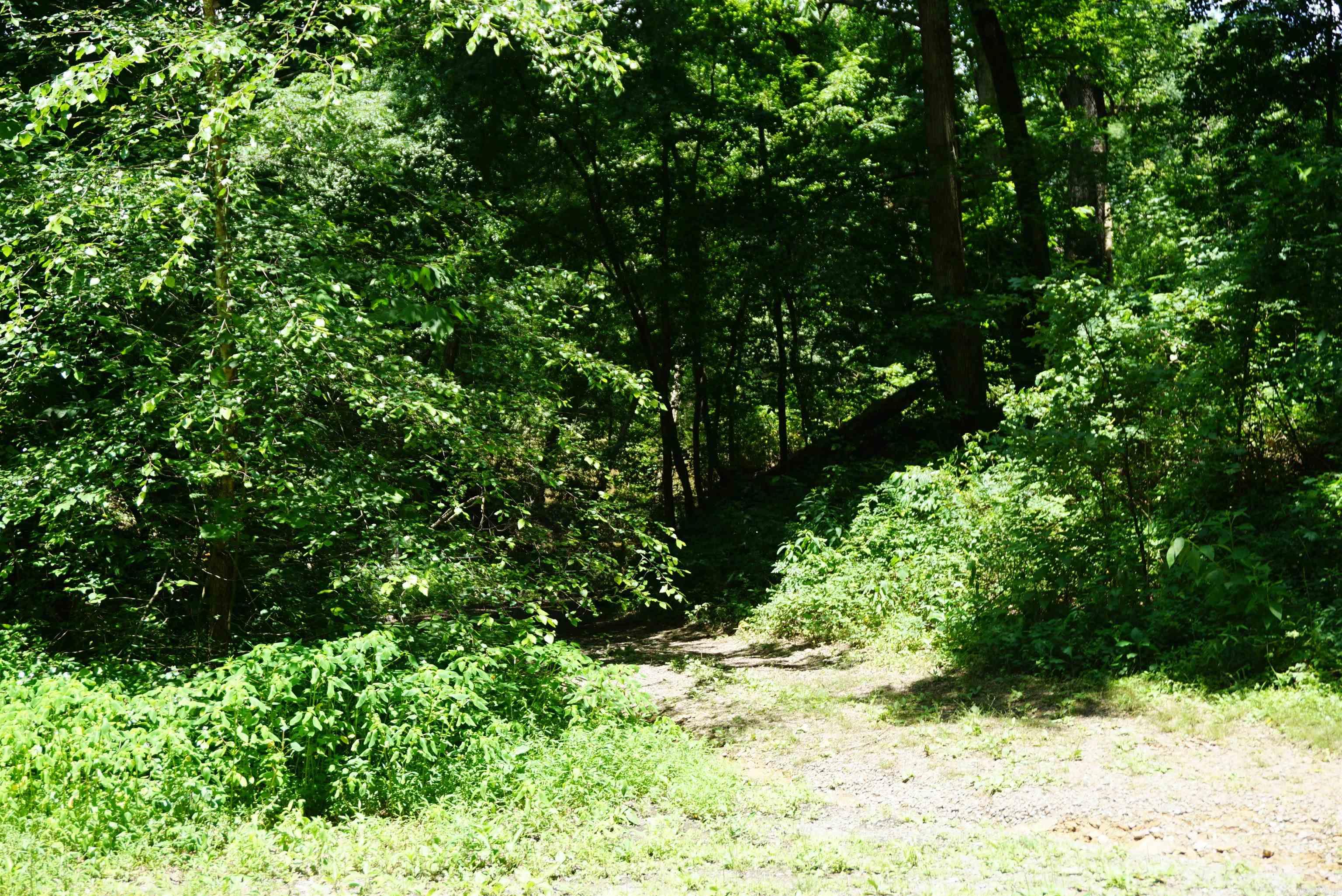 8  Lots in Red River Shores S/D  Judsonia, AR