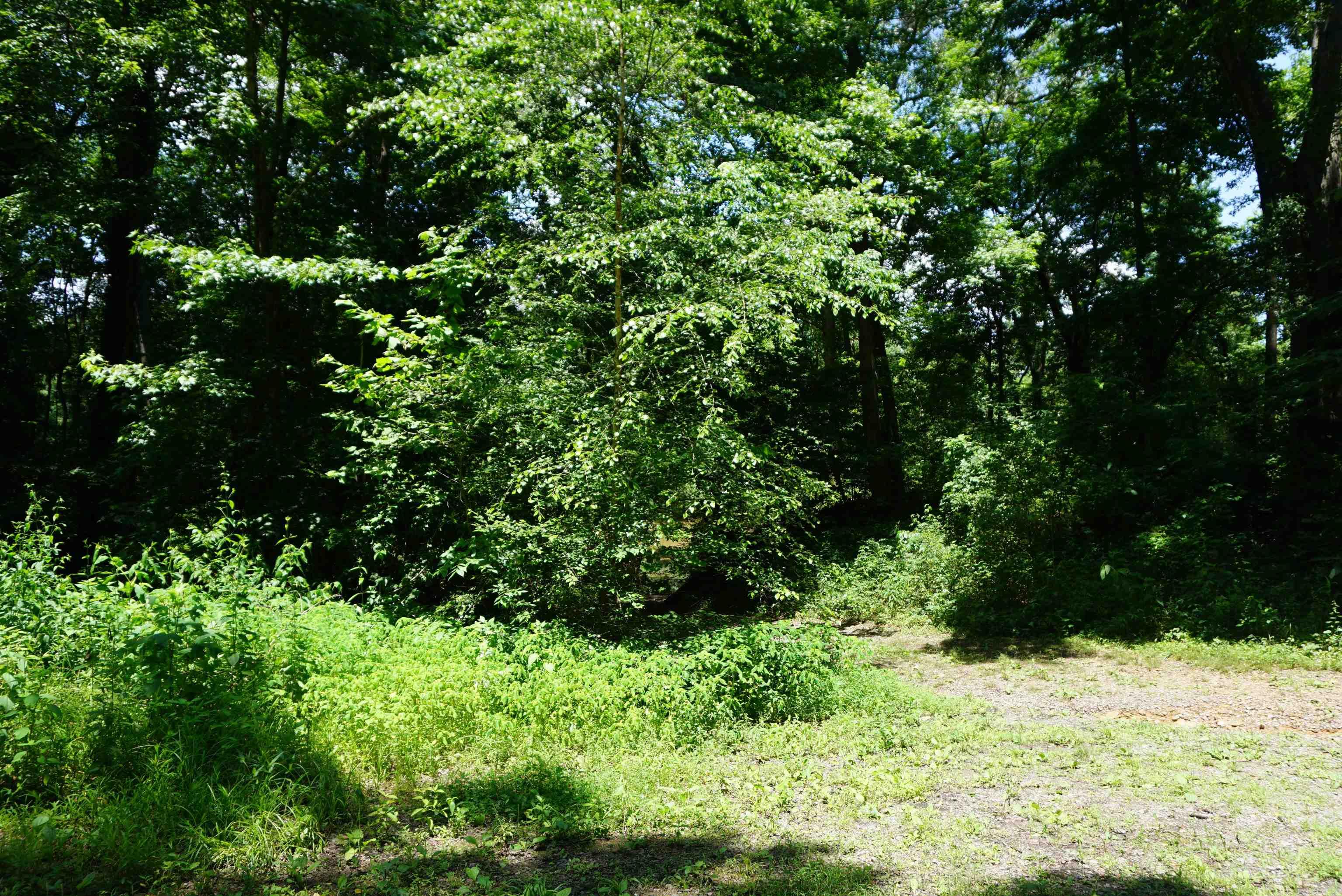 8  Lots in Red River Shores S/D  Judsonia, AR