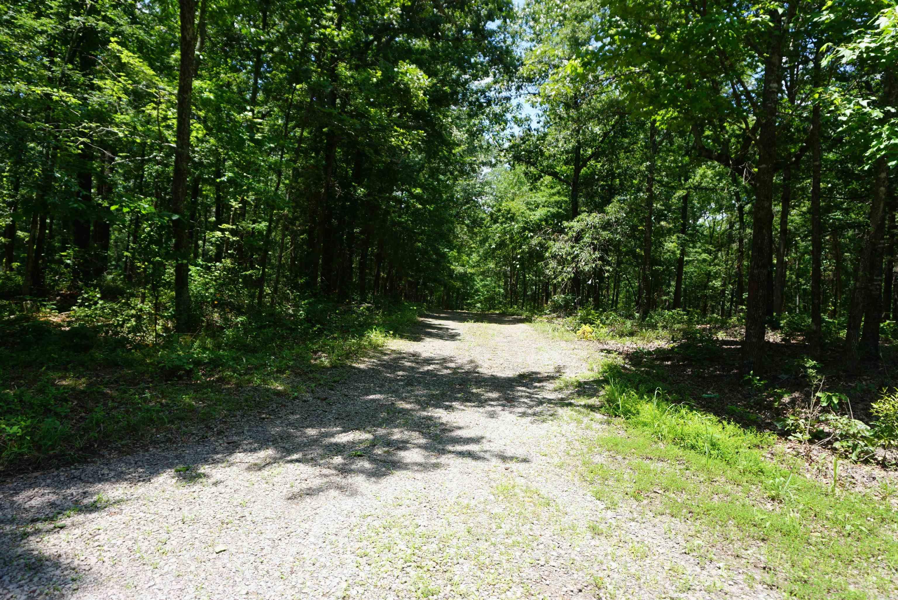 8  Lots in Red River Shores S/D  Judsonia, AR