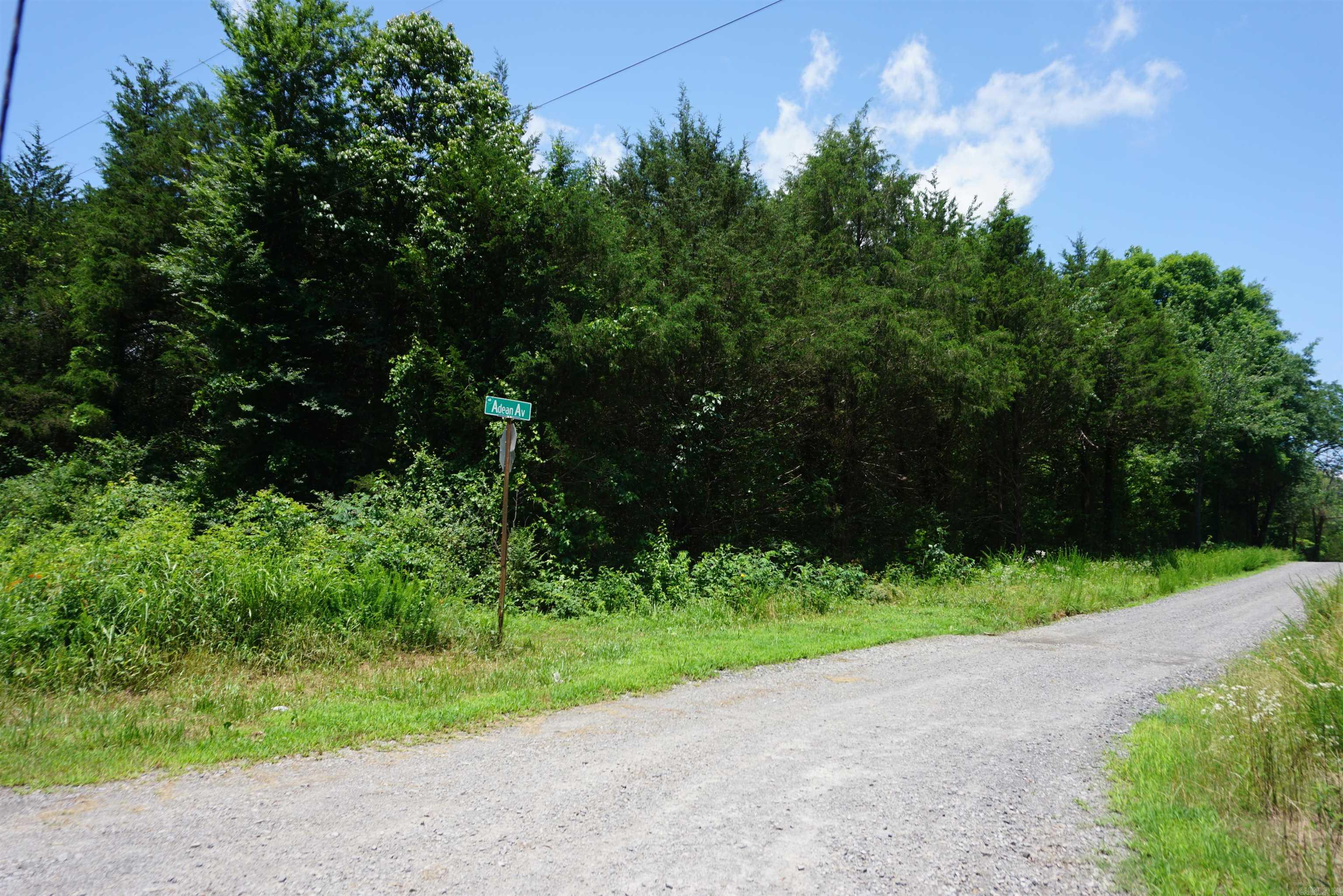 8  Lots in Red River Shores S/D  Judsonia, AR