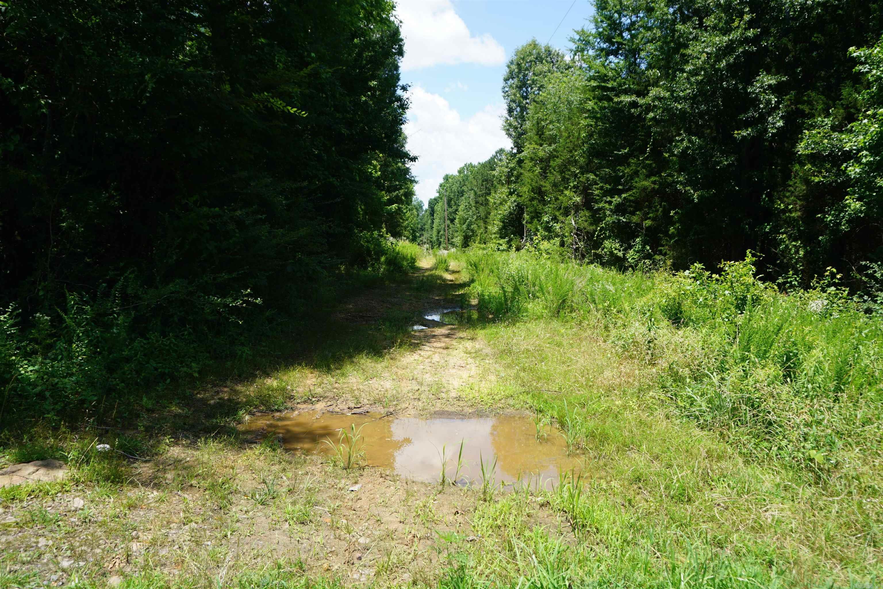 8  Lots in Red River Shores S/D  Judsonia, AR