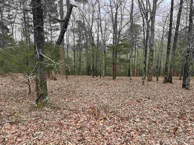 Lot 4 Diamond Bluff Road  Quitman, AR