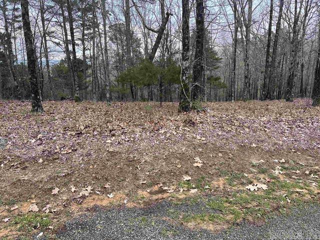 Lot 4 Diamond Bluff Road  Quitman, AR