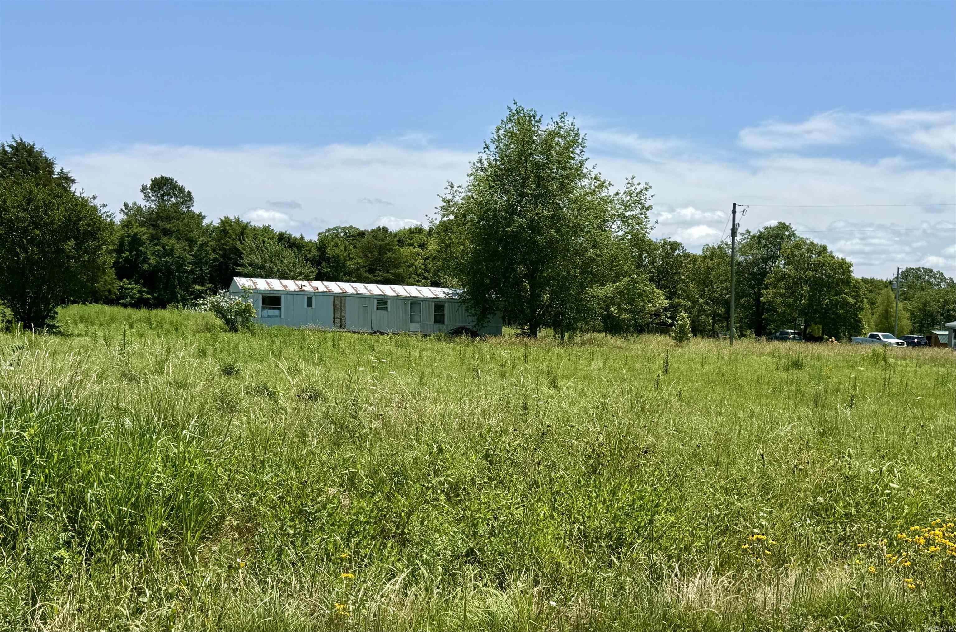 100 Blue Coat  Judsonia, AR