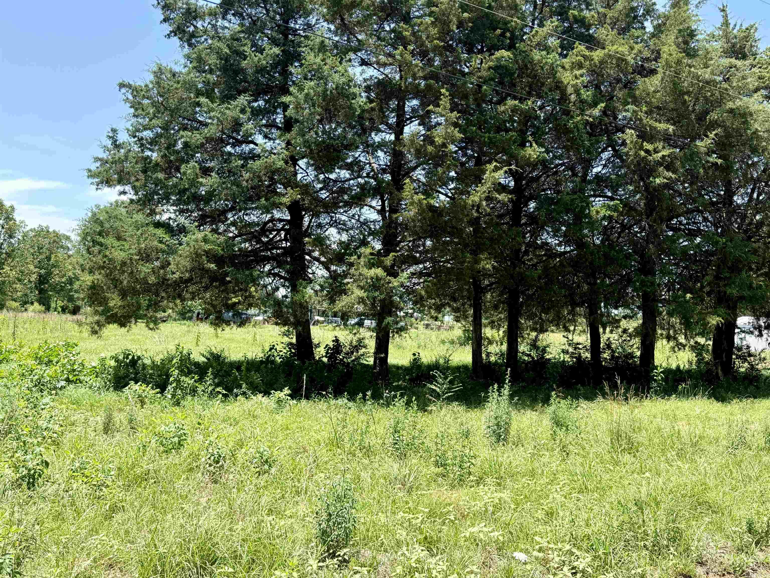100 Blue Coat  Judsonia, AR