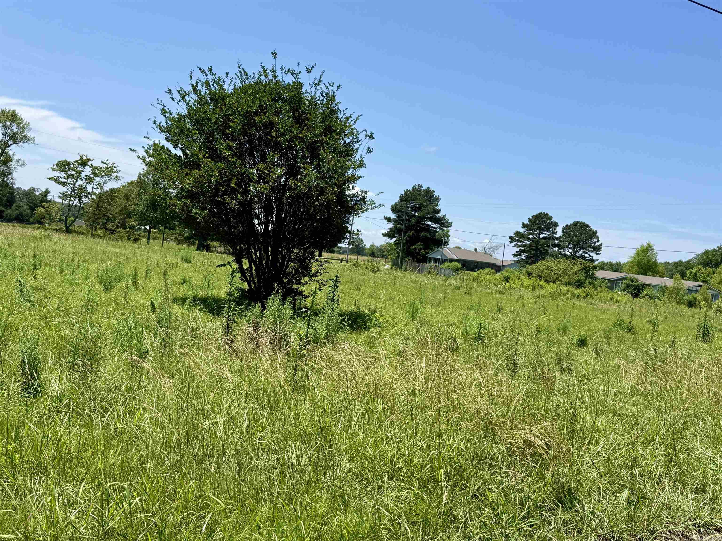 100 Blue Coat  Judsonia, AR
