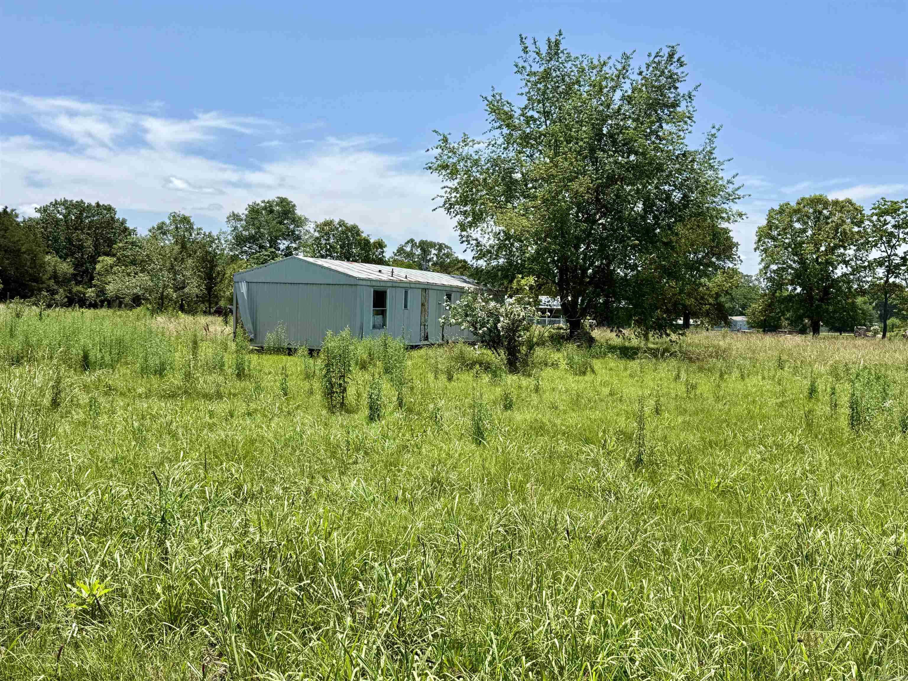 100 Blue Coat  Judsonia, AR