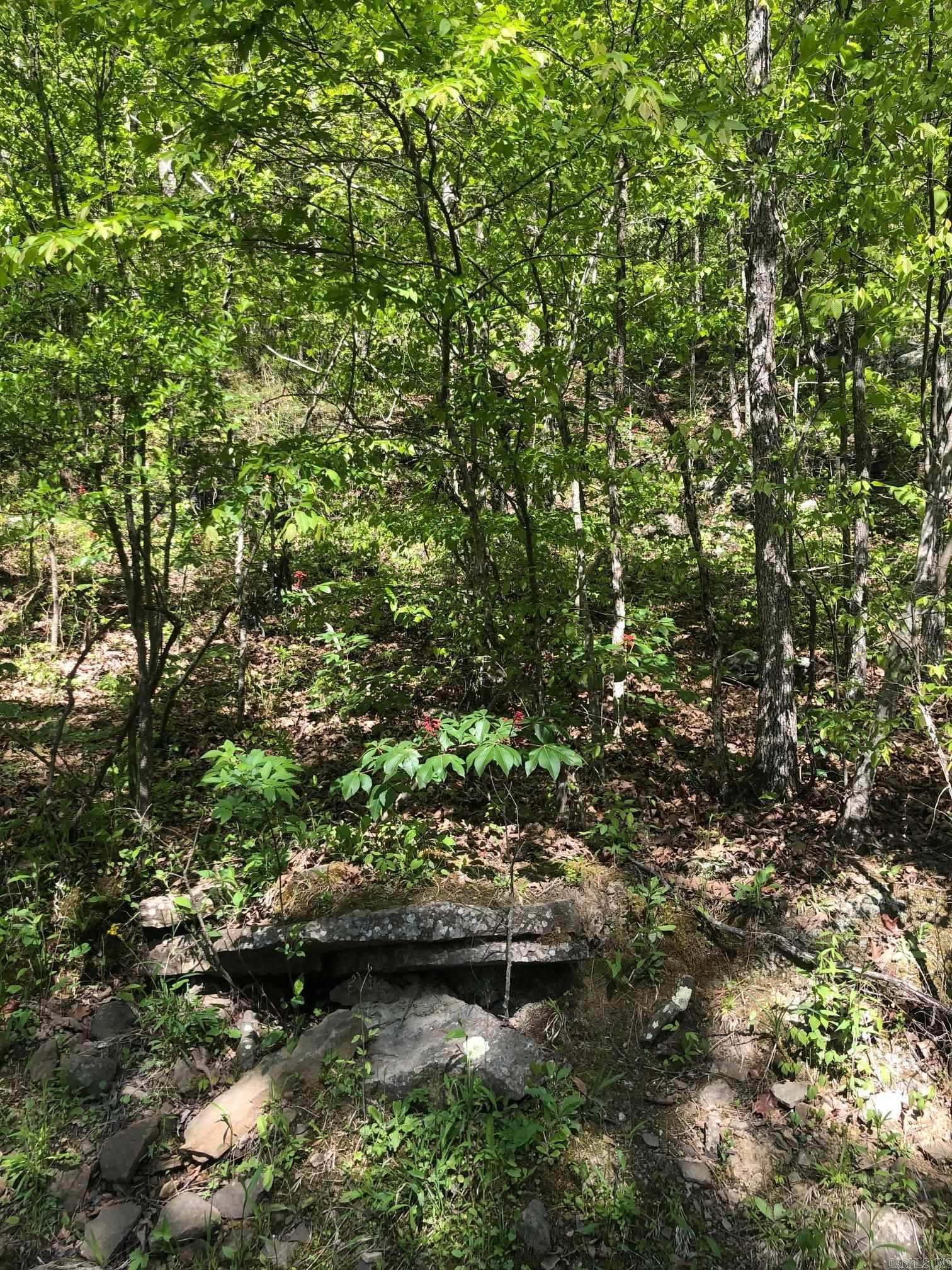 Tract 14  Weldon Rd.  Edgemont, AR