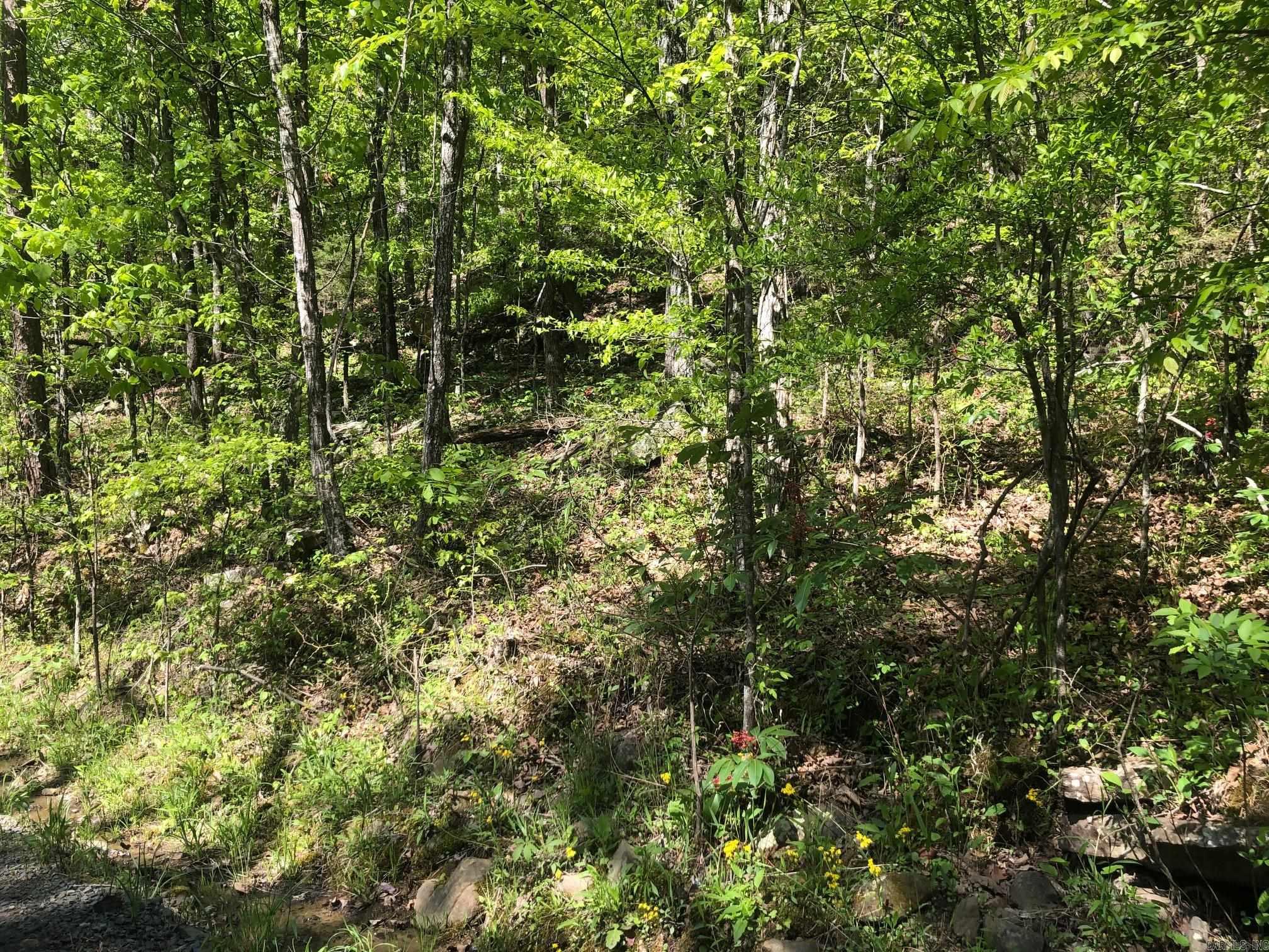 Tract 14  Weldon Rd.  Edgemont, AR