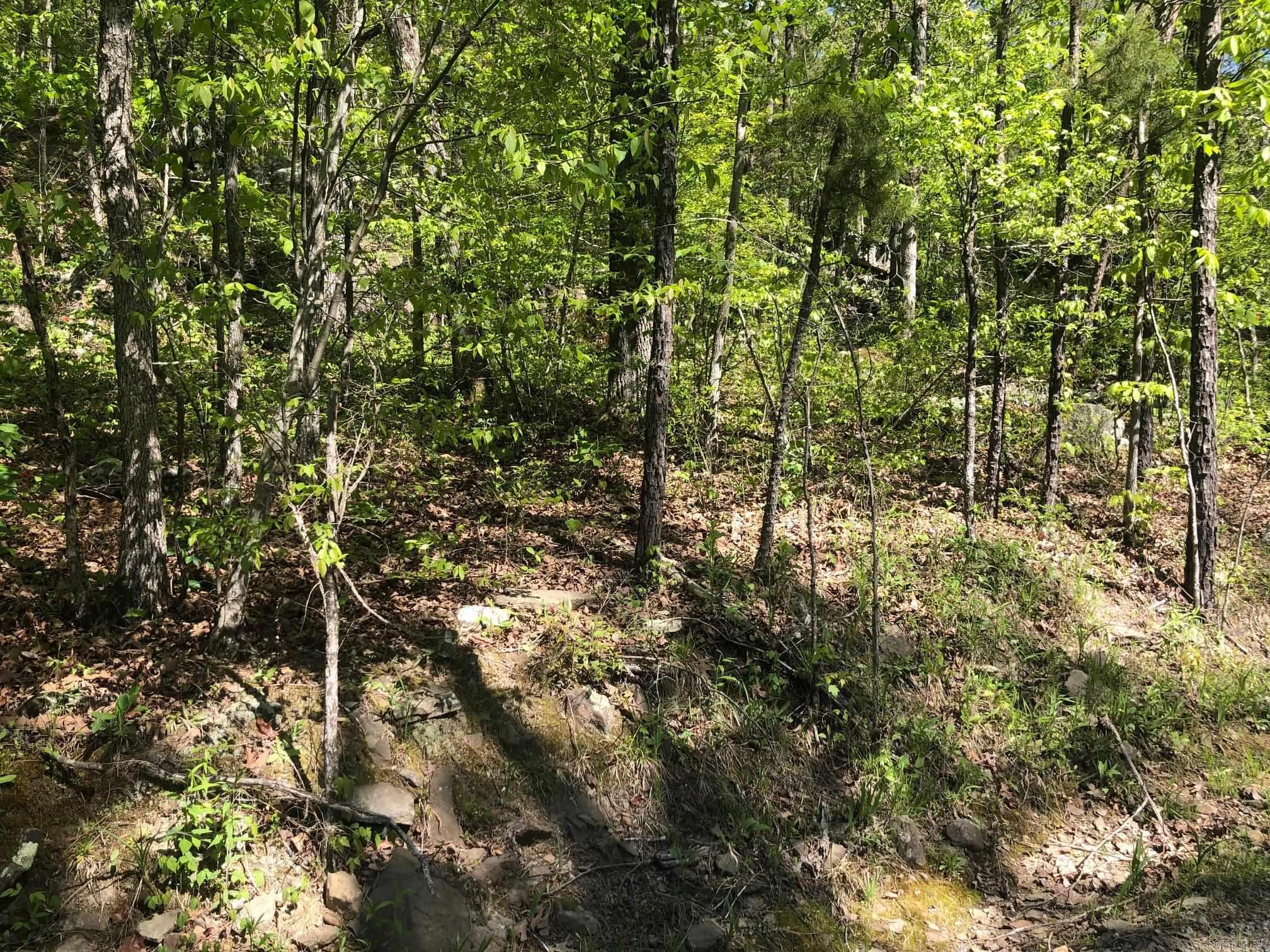 Tract 14  Weldon Rd.  Edgemont, AR