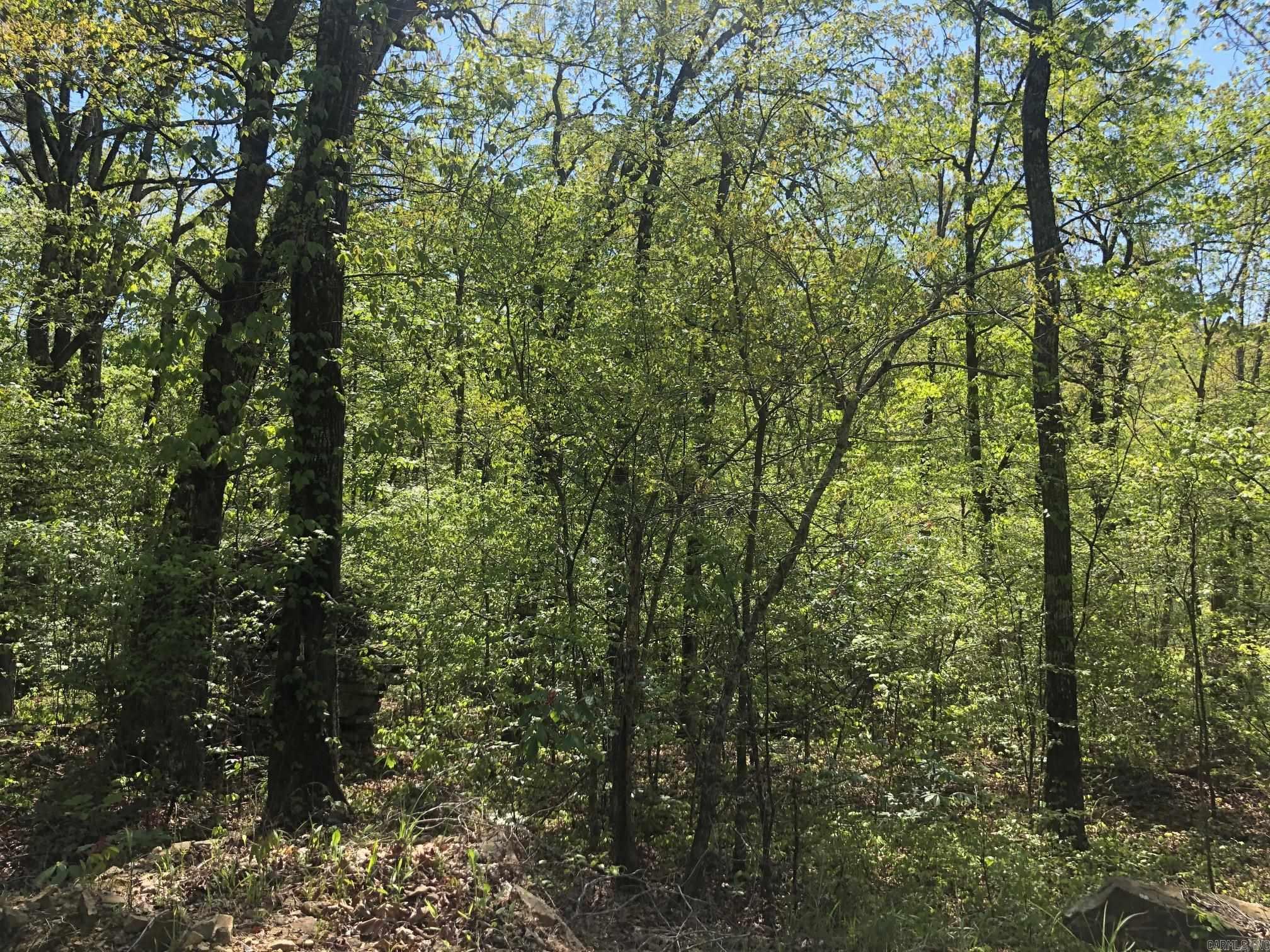 Tract 14  Weldon Rd.  Edgemont, AR