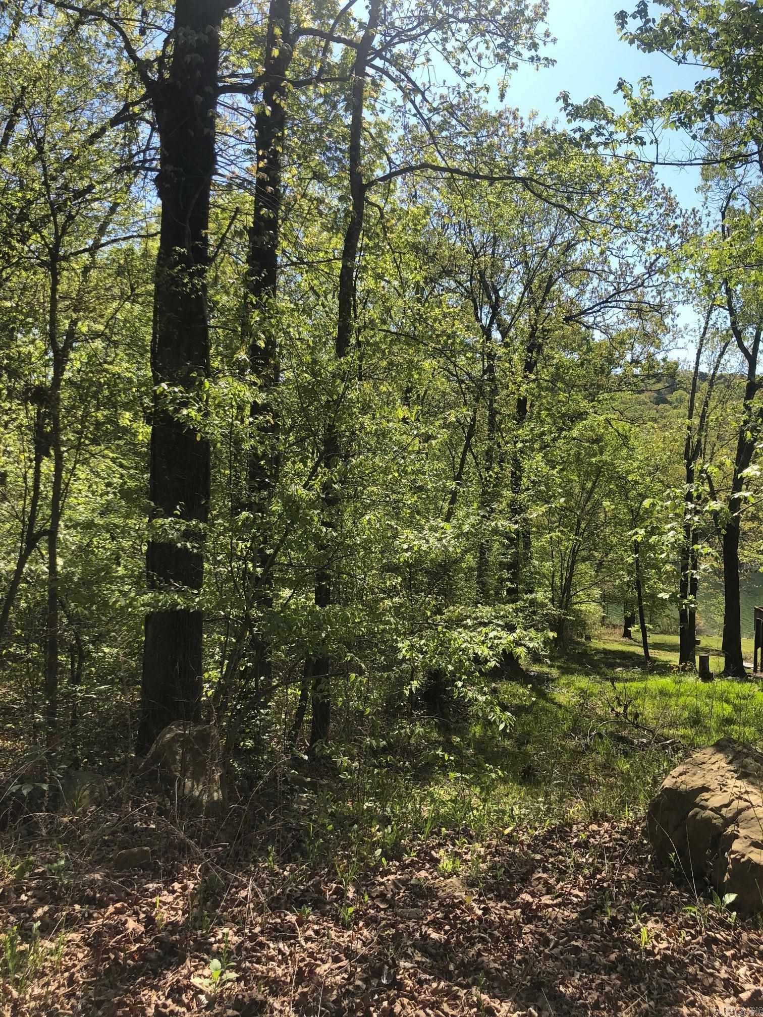 Tract 14  Weldon Rd.  Edgemont, AR