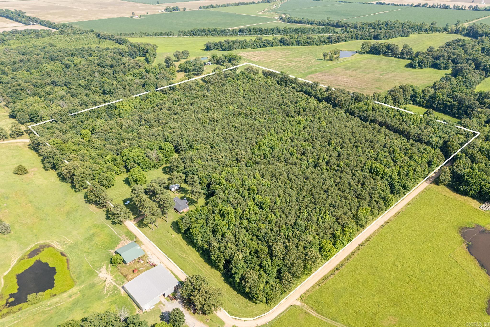 738  CR 485  Rector, AR
