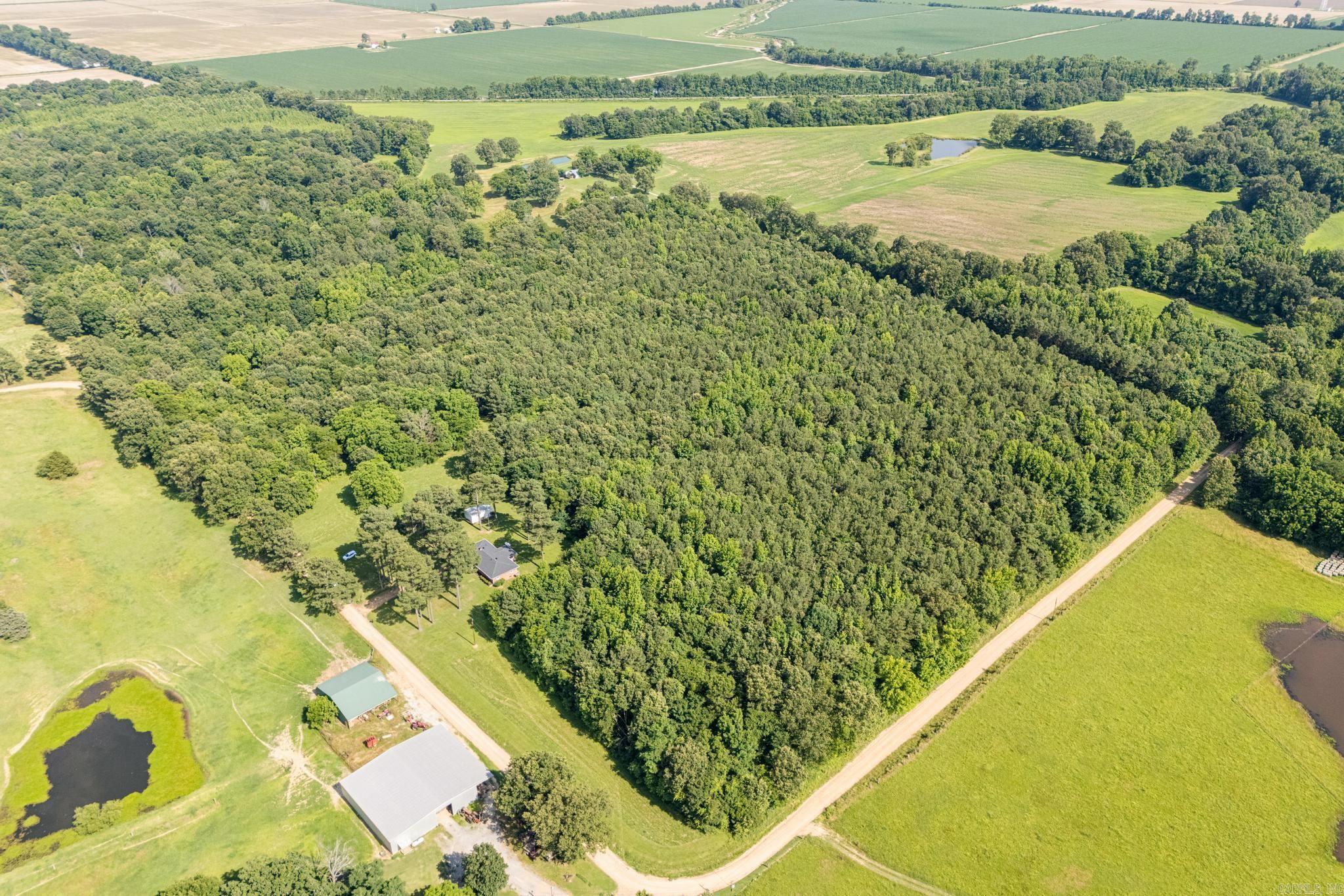 738  CR 485  Rector, AR