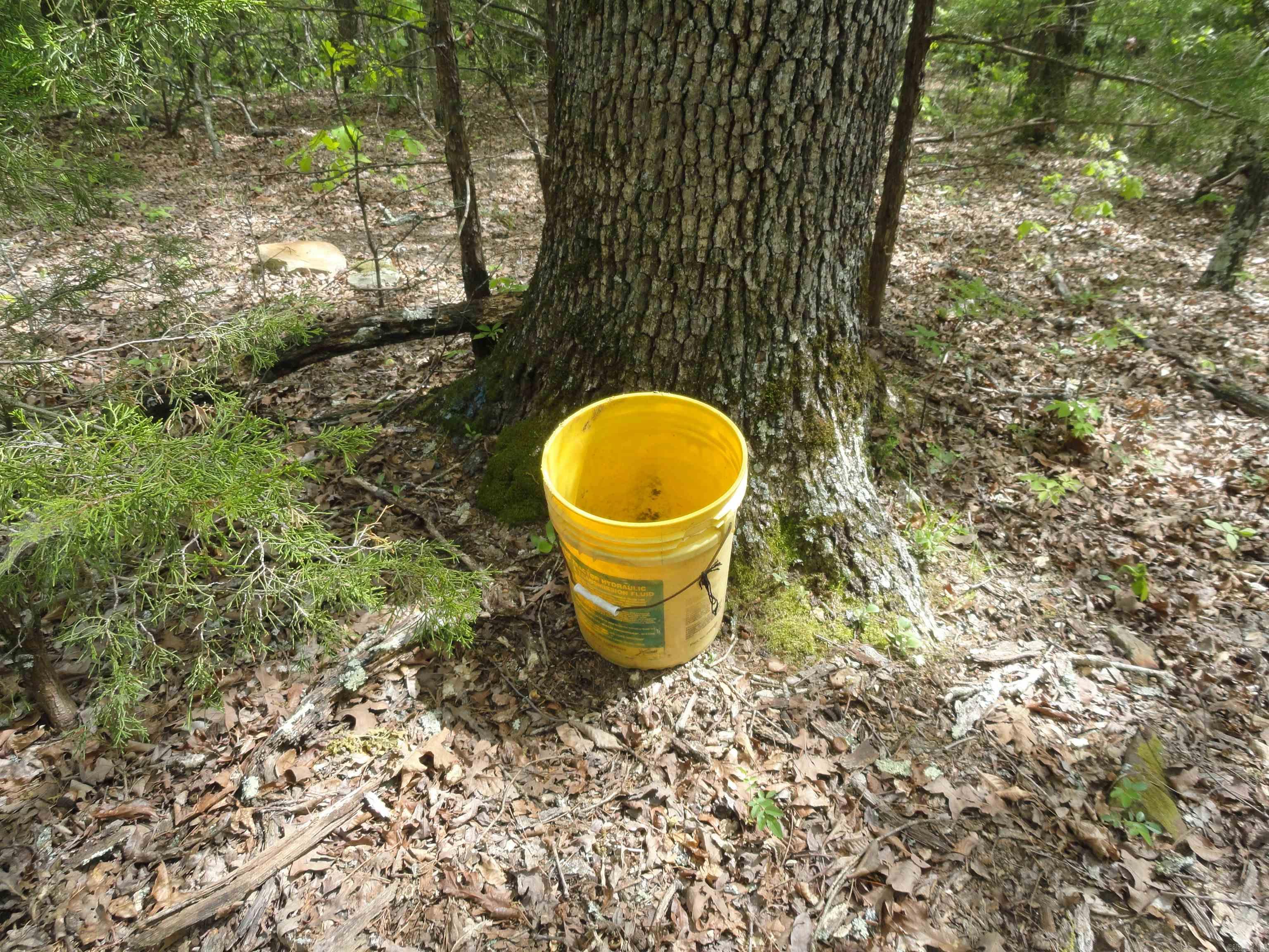935 Standing Alone  Leslie, AR