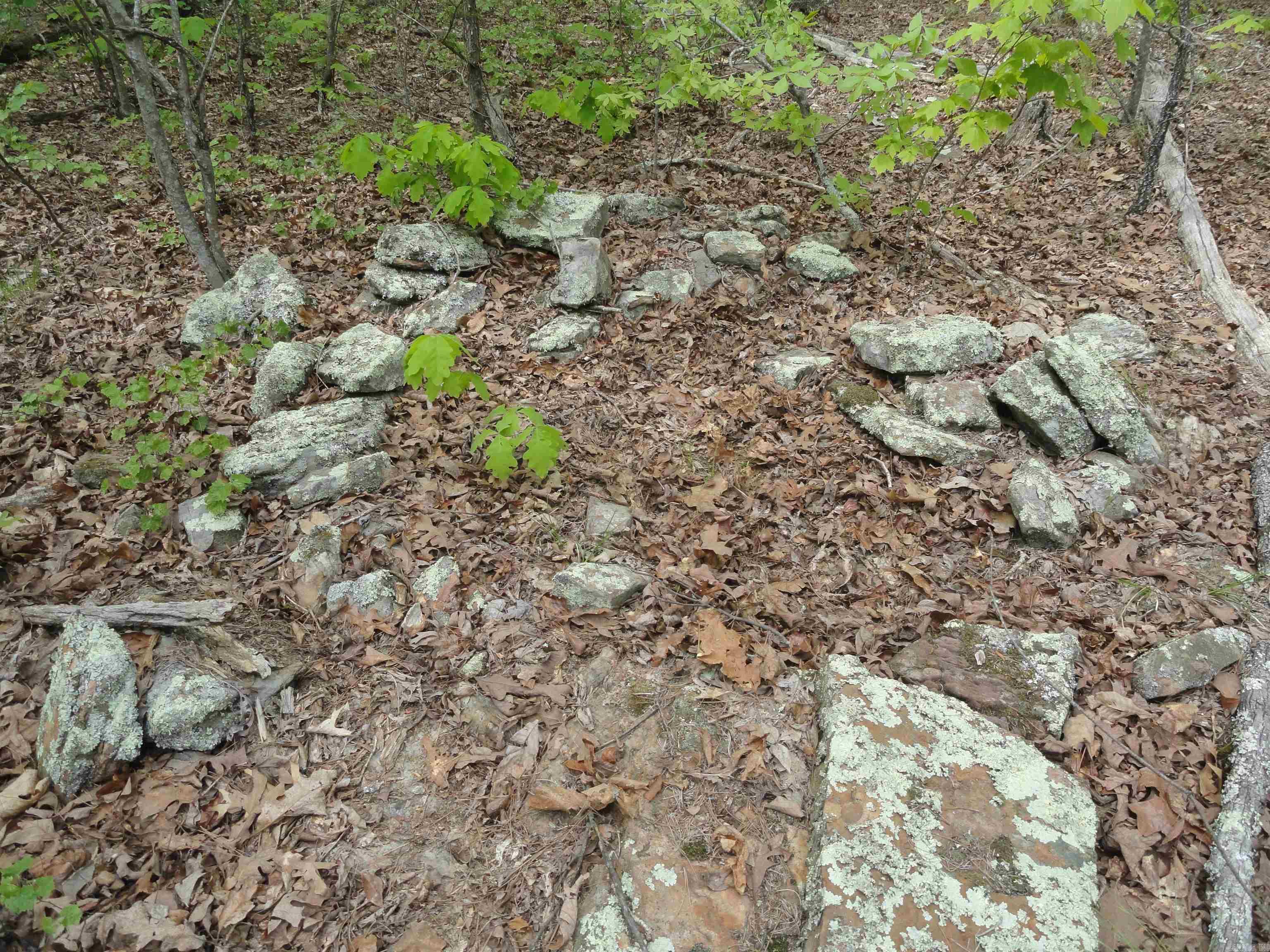 935 Standing Alone  Leslie, AR