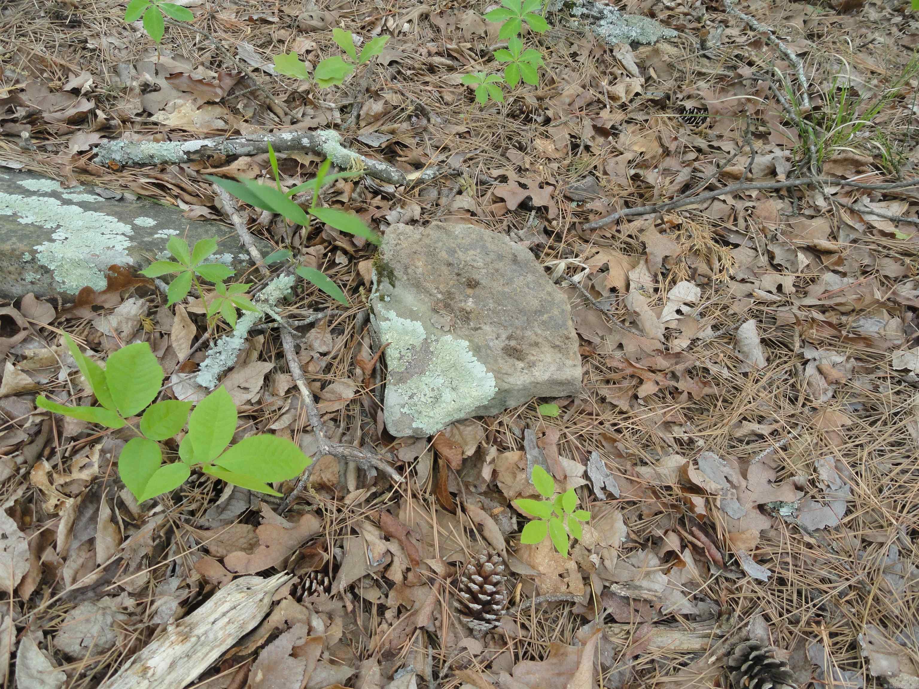 935 Standing Alone  Leslie, AR