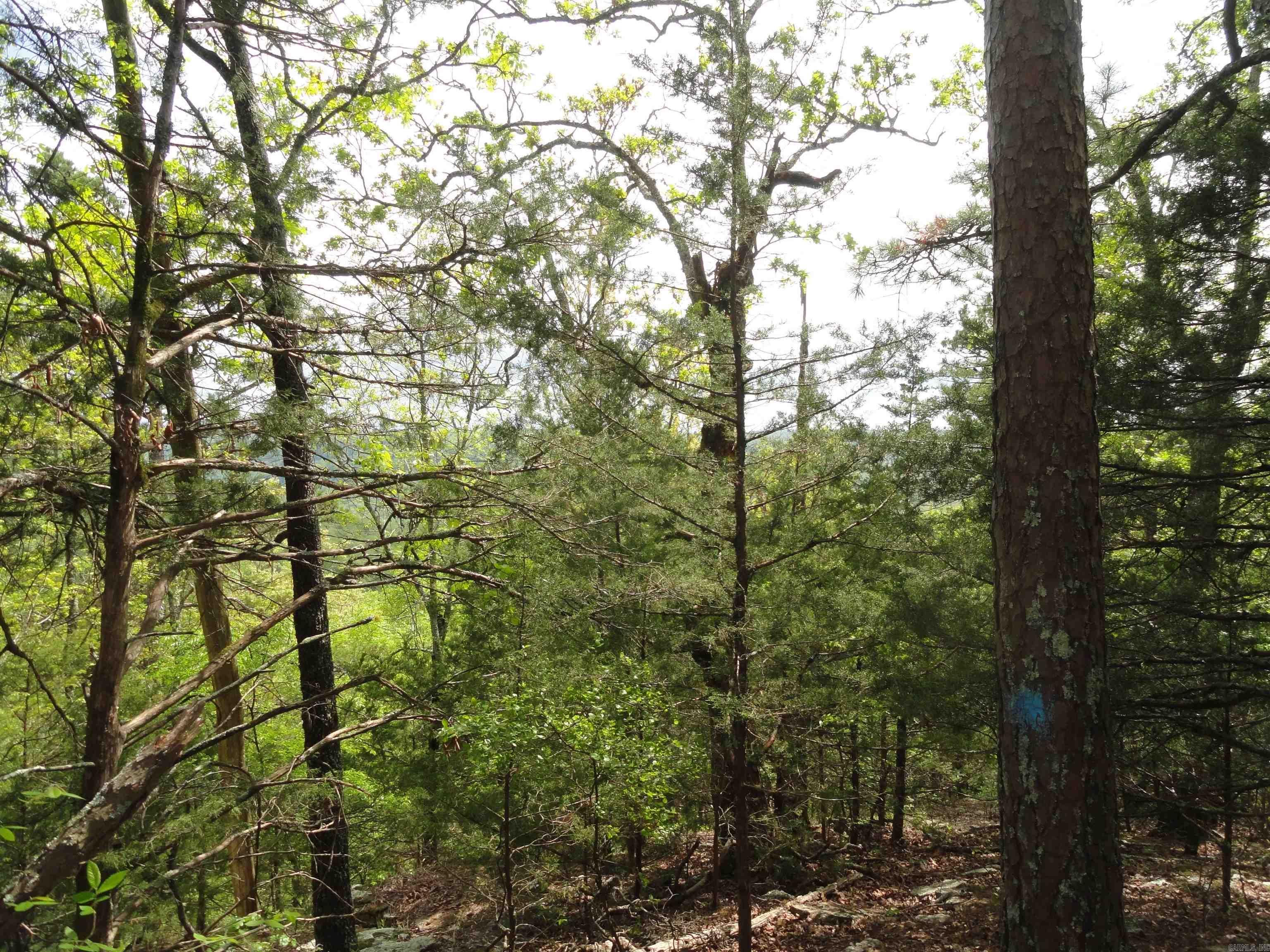 935 Standing Alone  Leslie, AR