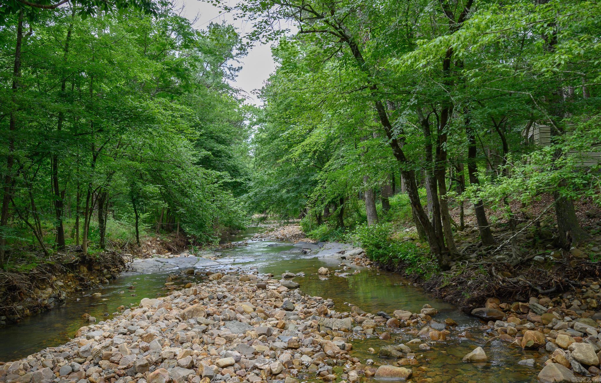 51 Raven Ln  Oden, AR