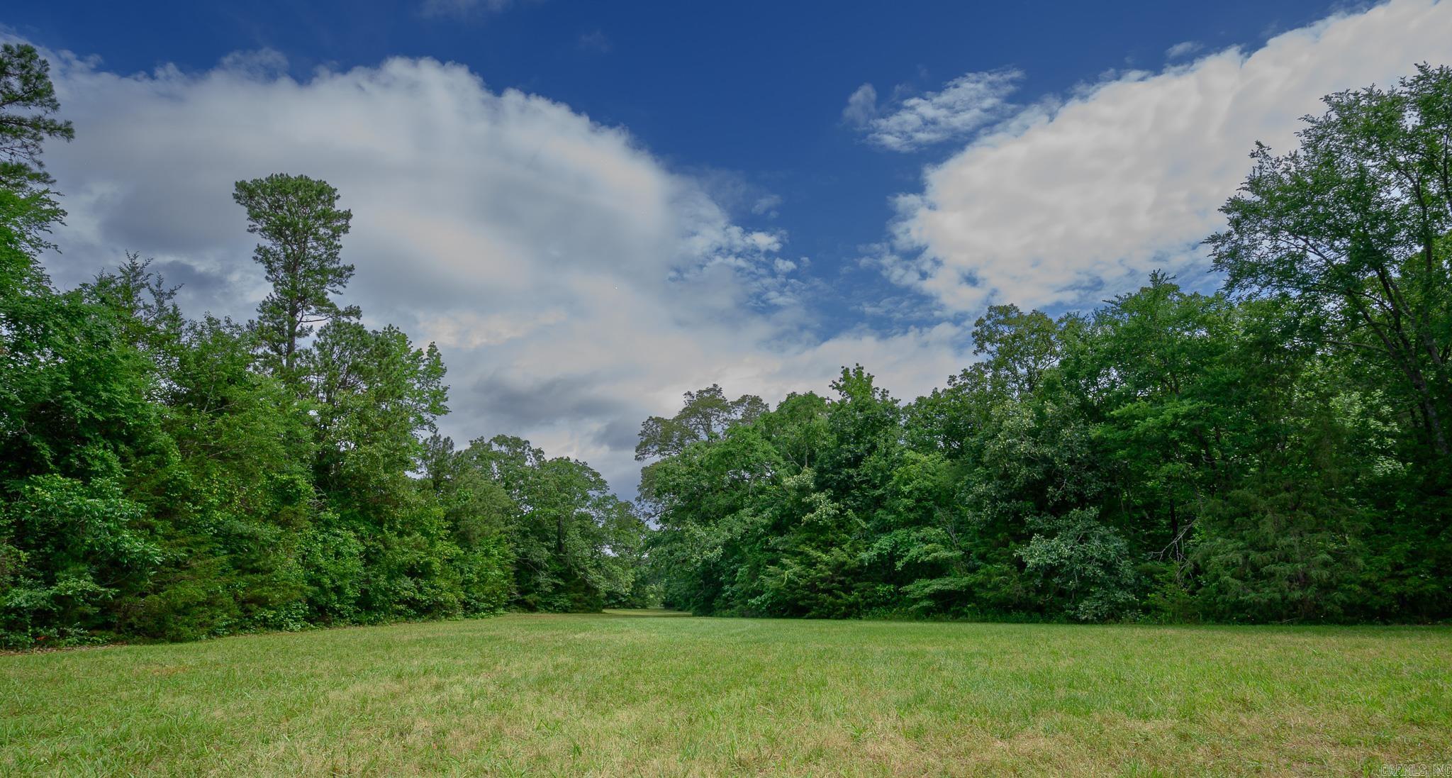 51 Raven Ln  Oden, AR