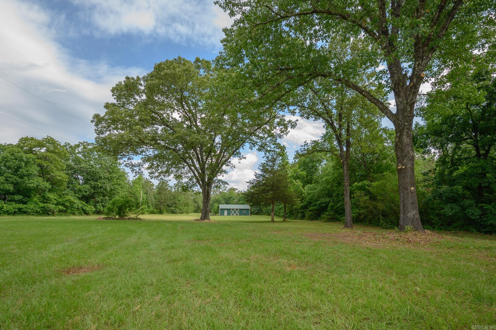 51 Raven Ln  Oden, AR