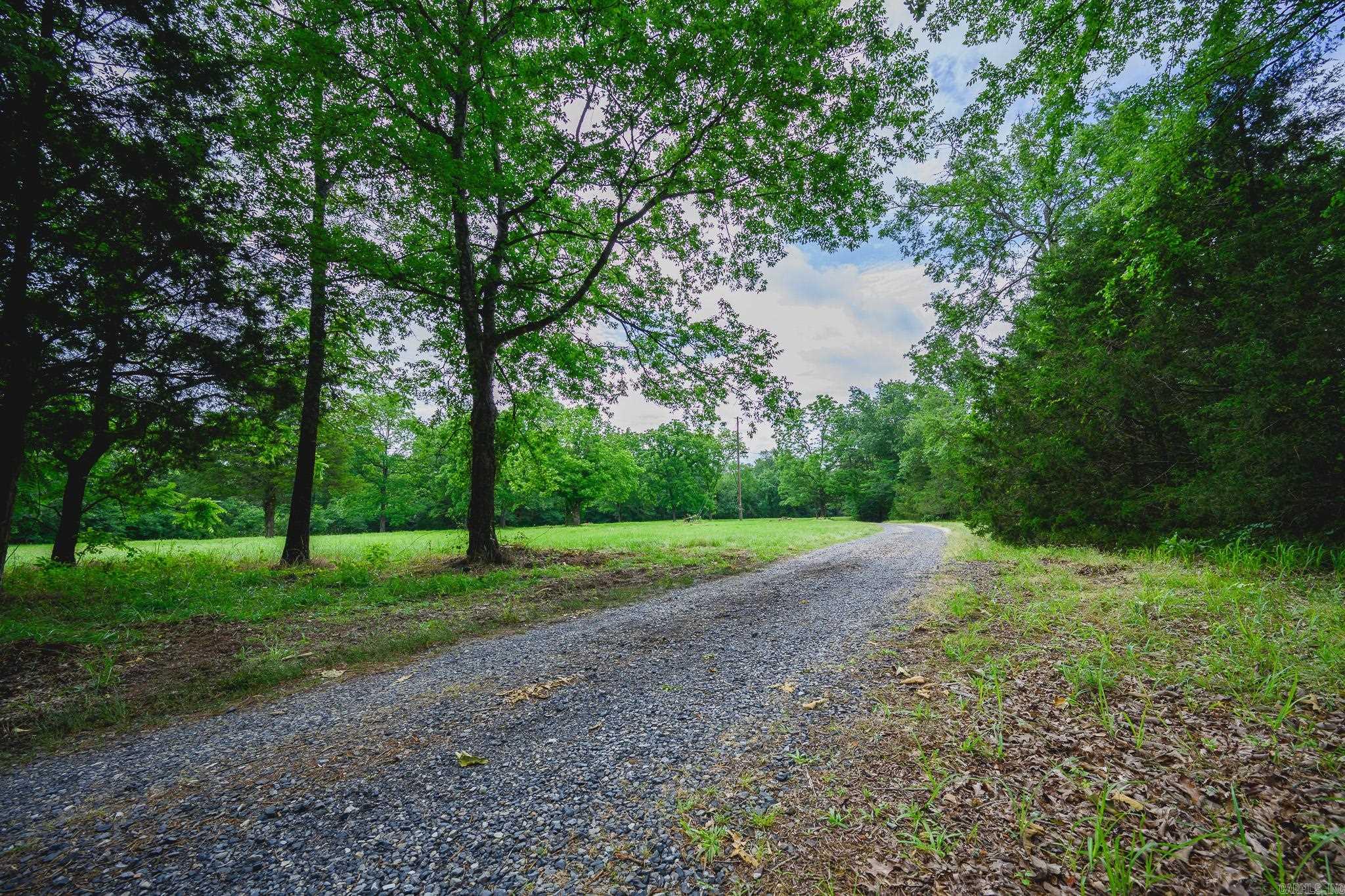 51 Raven Ln  Oden, AR