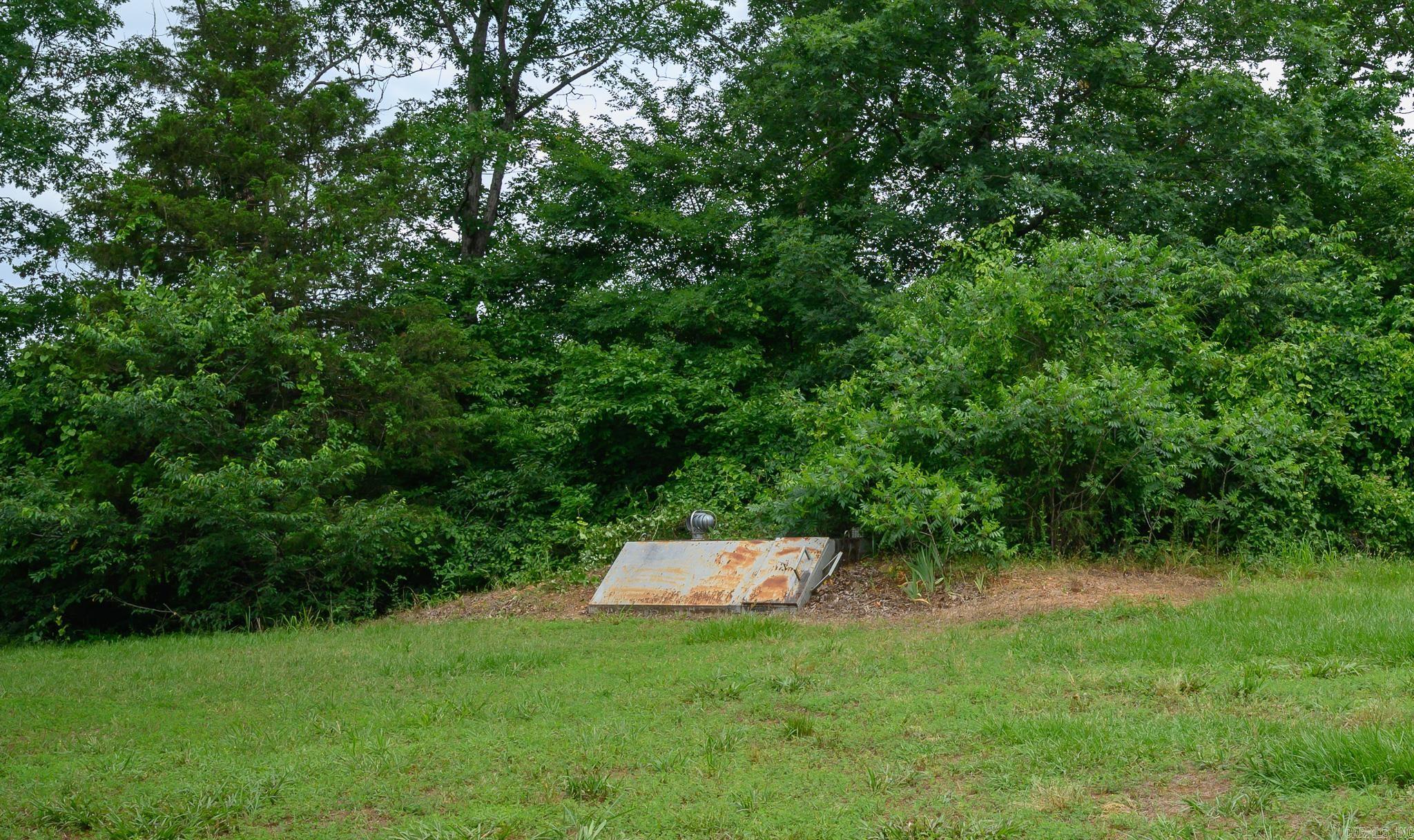 51 Raven Ln  Oden, AR