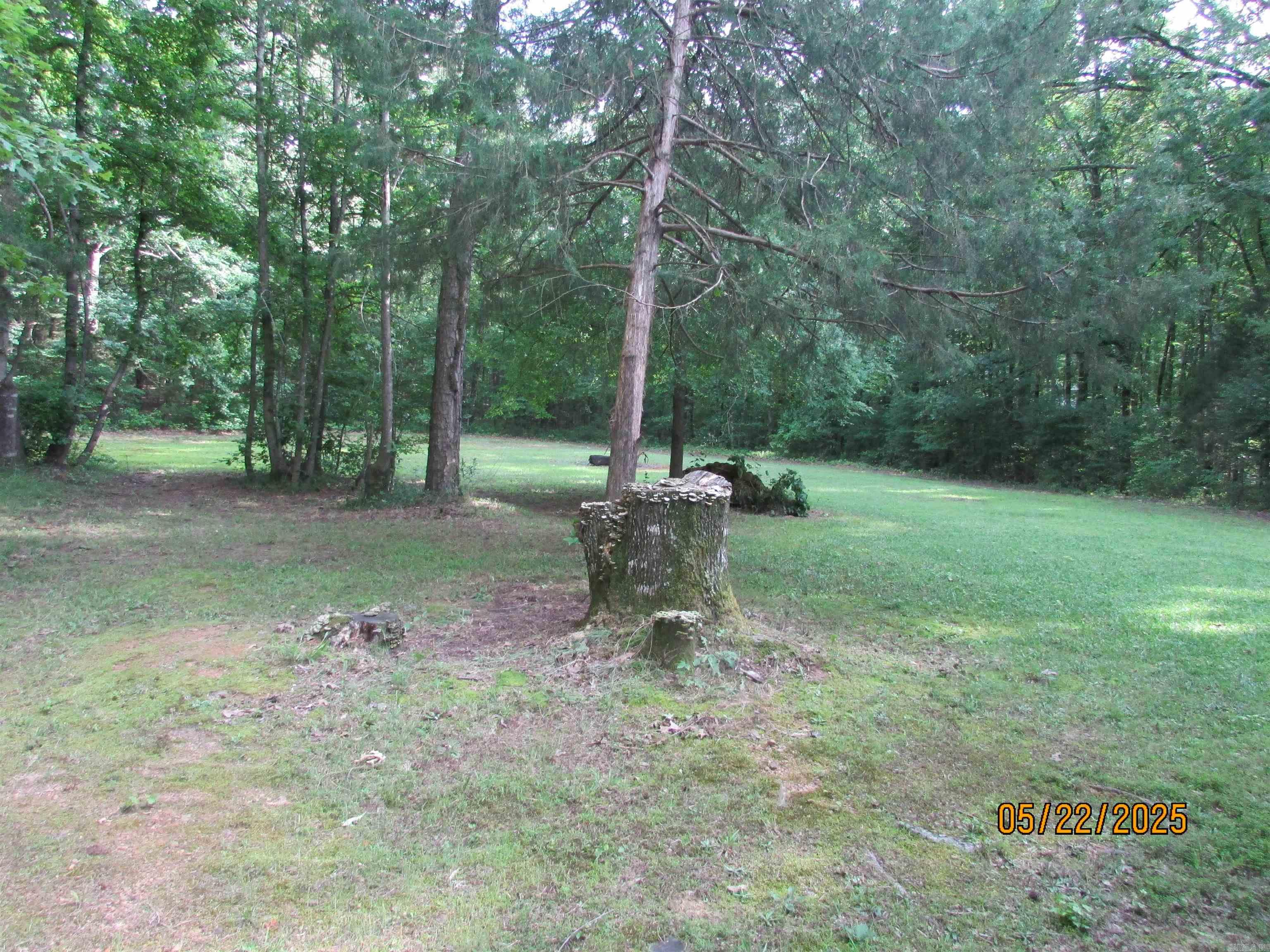 145 Eagles Nest Cove  Austin, AR